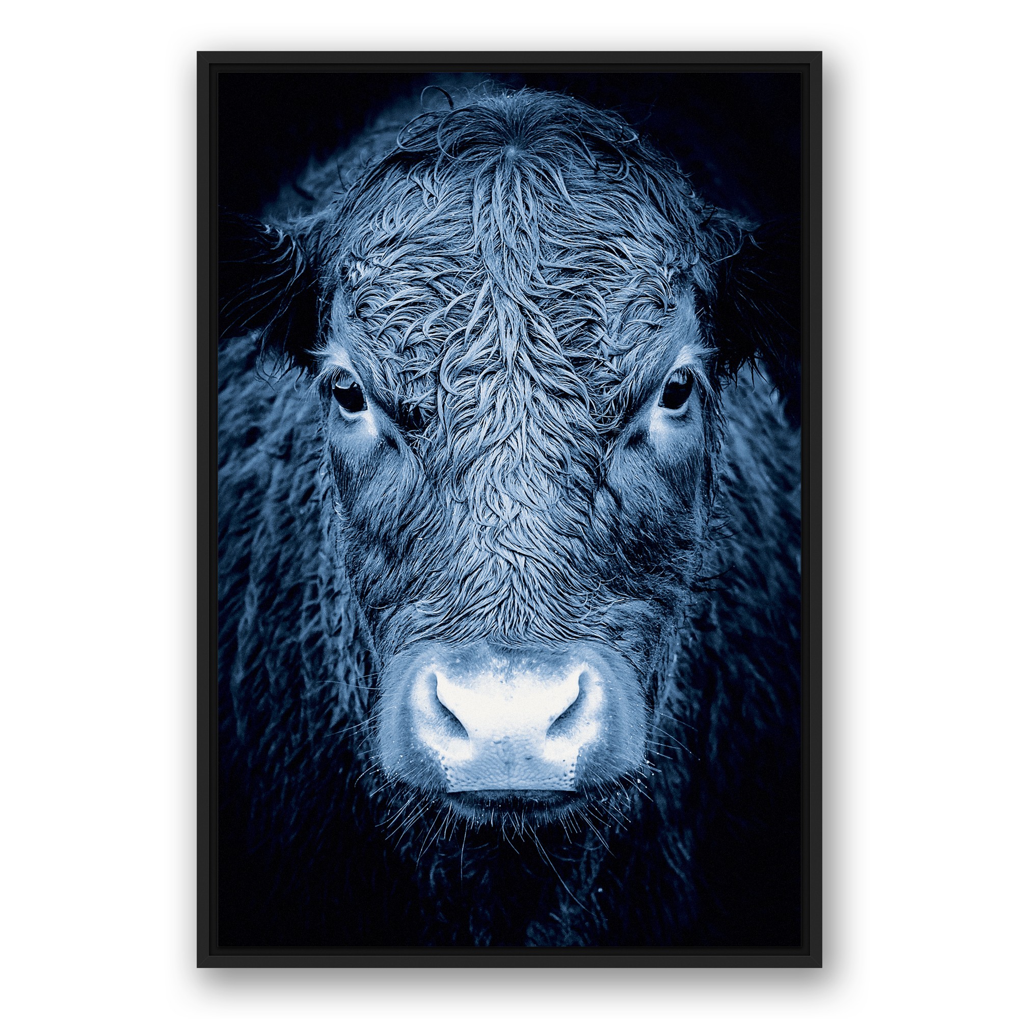 Blue Cow Wall Art