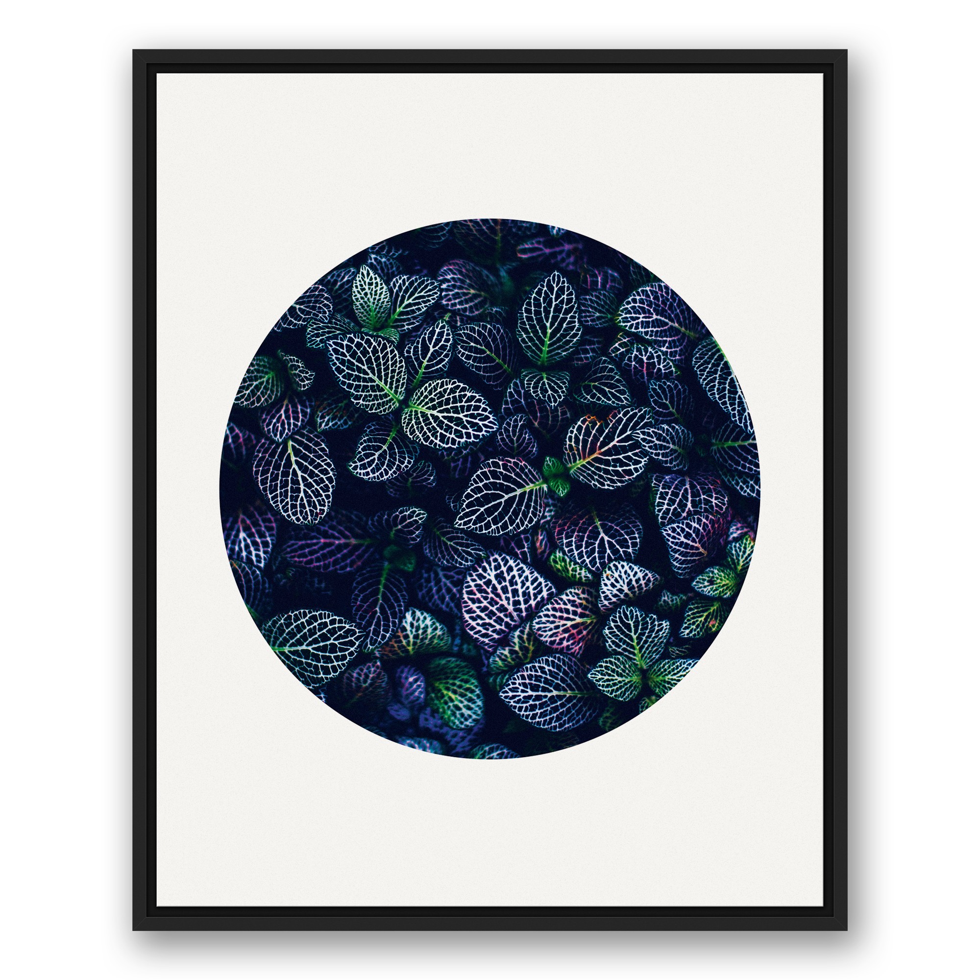 Dark Ferns Circle Print Wall Art