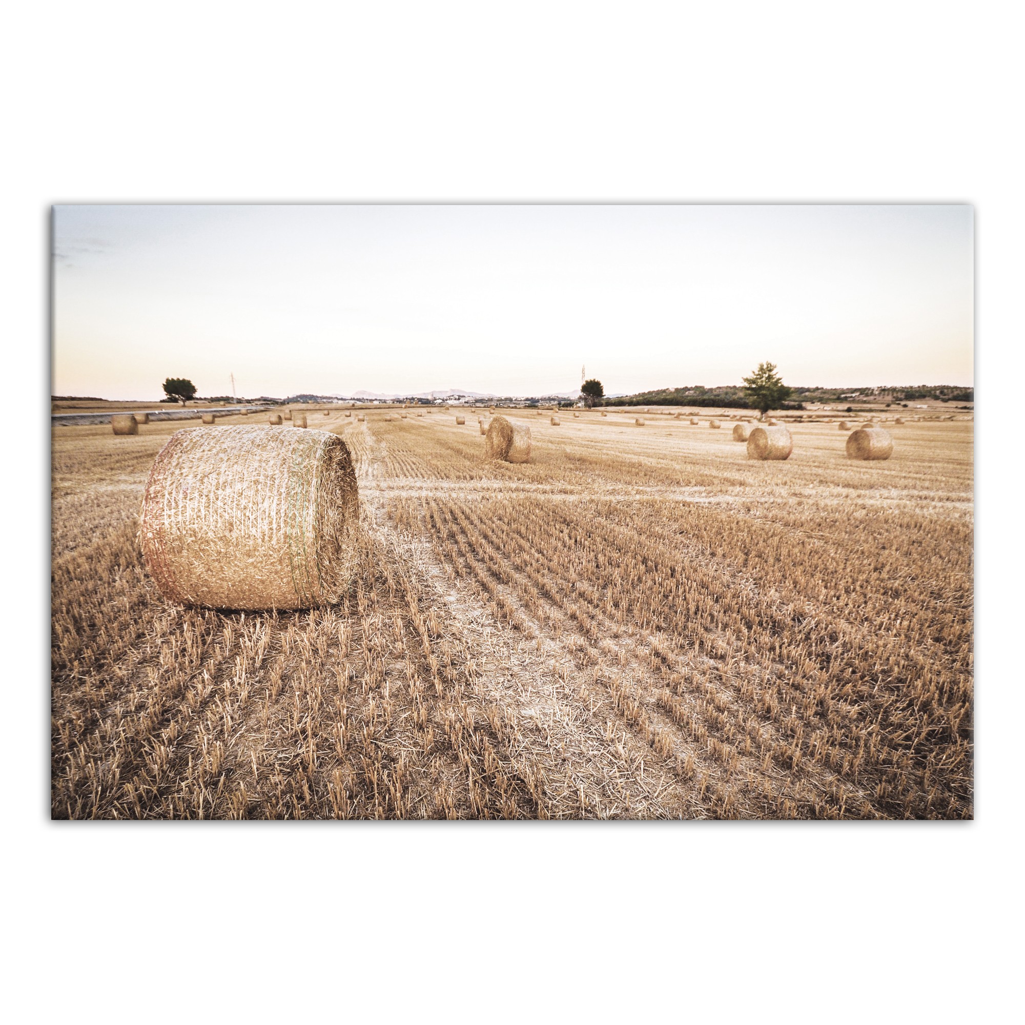 Bales of Hay Photography 24x36 Canvas Wall Art