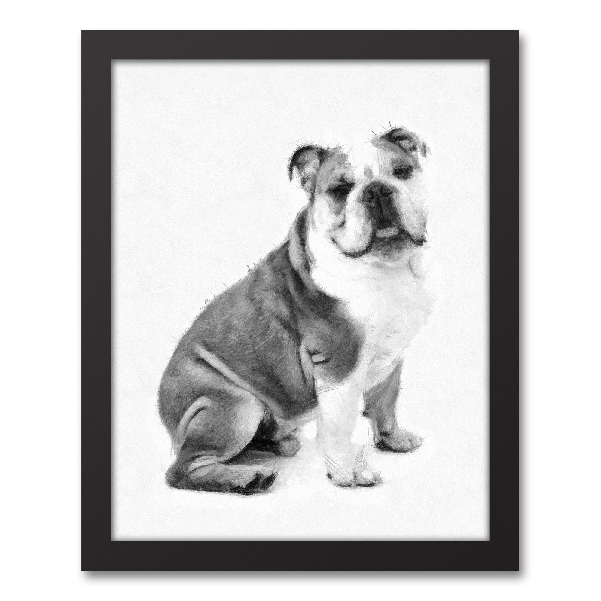 Bulldog Sketch 11x14 Black Framed Canvas