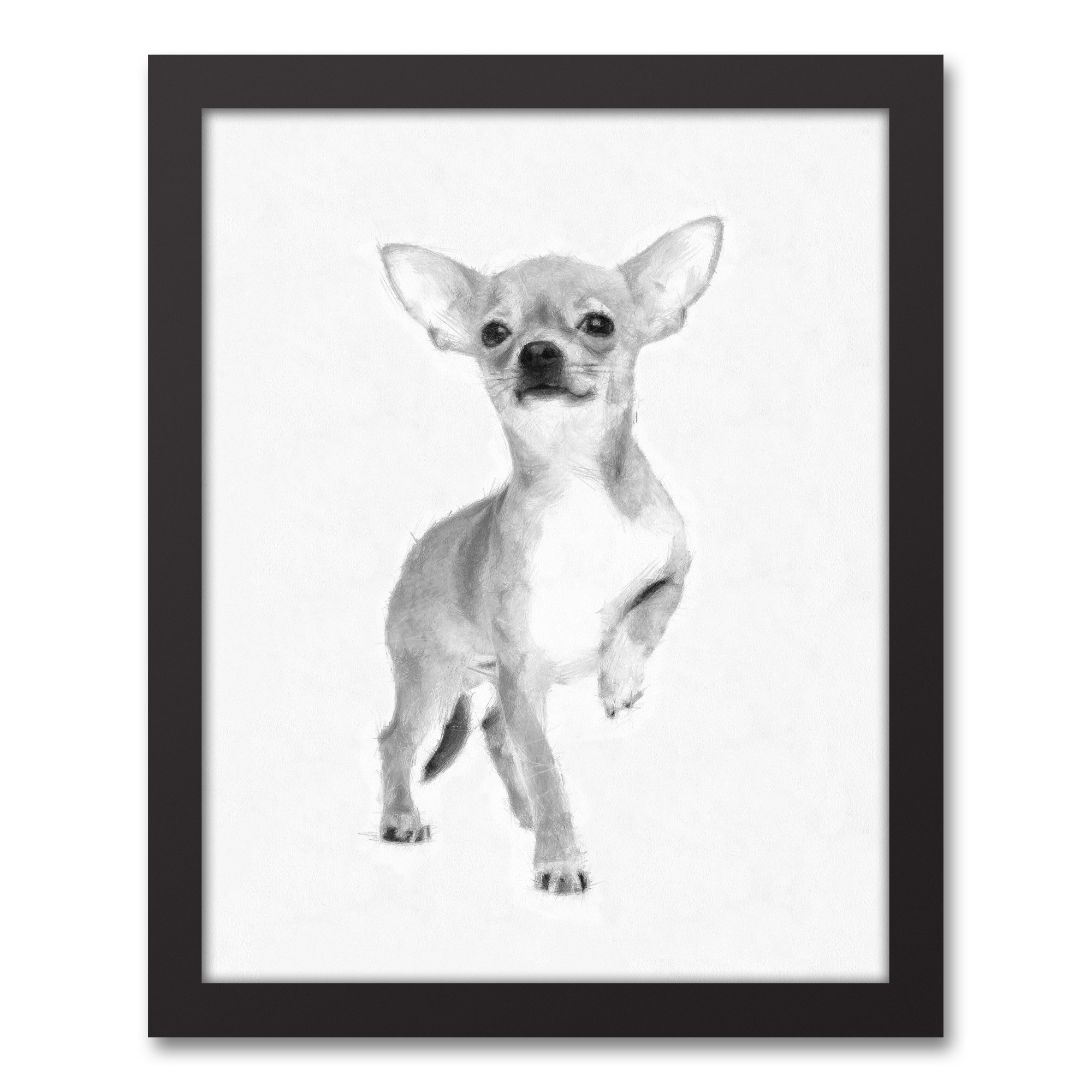 Chihuahua Sketch 11x14 Black Framed Canvas