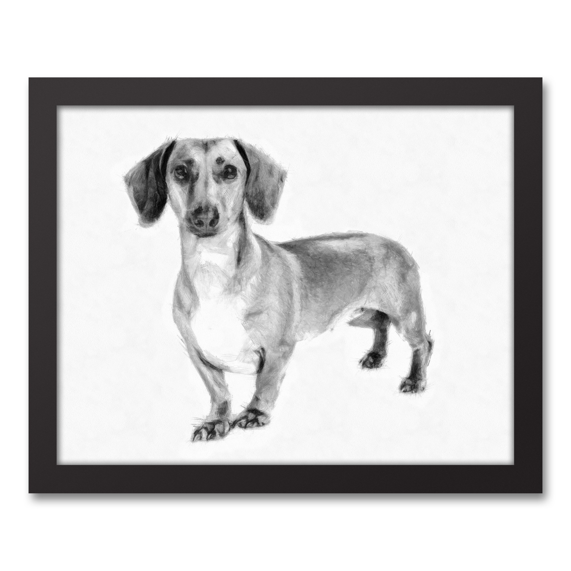 Dachshund Sketch 11x14 Black Framed Canvas