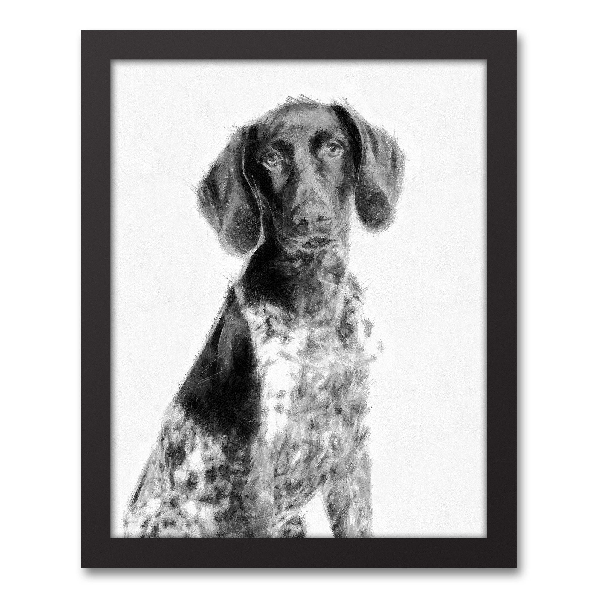 Pointer Sketch 11x14 Black Framed Canvas