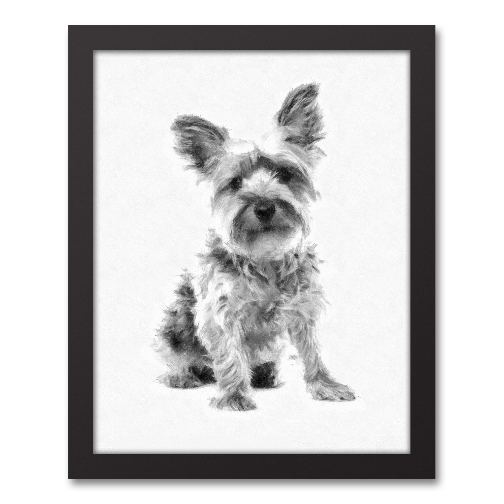 Yorkshire Terrier Sketch 11x14 Black Framed Canvas