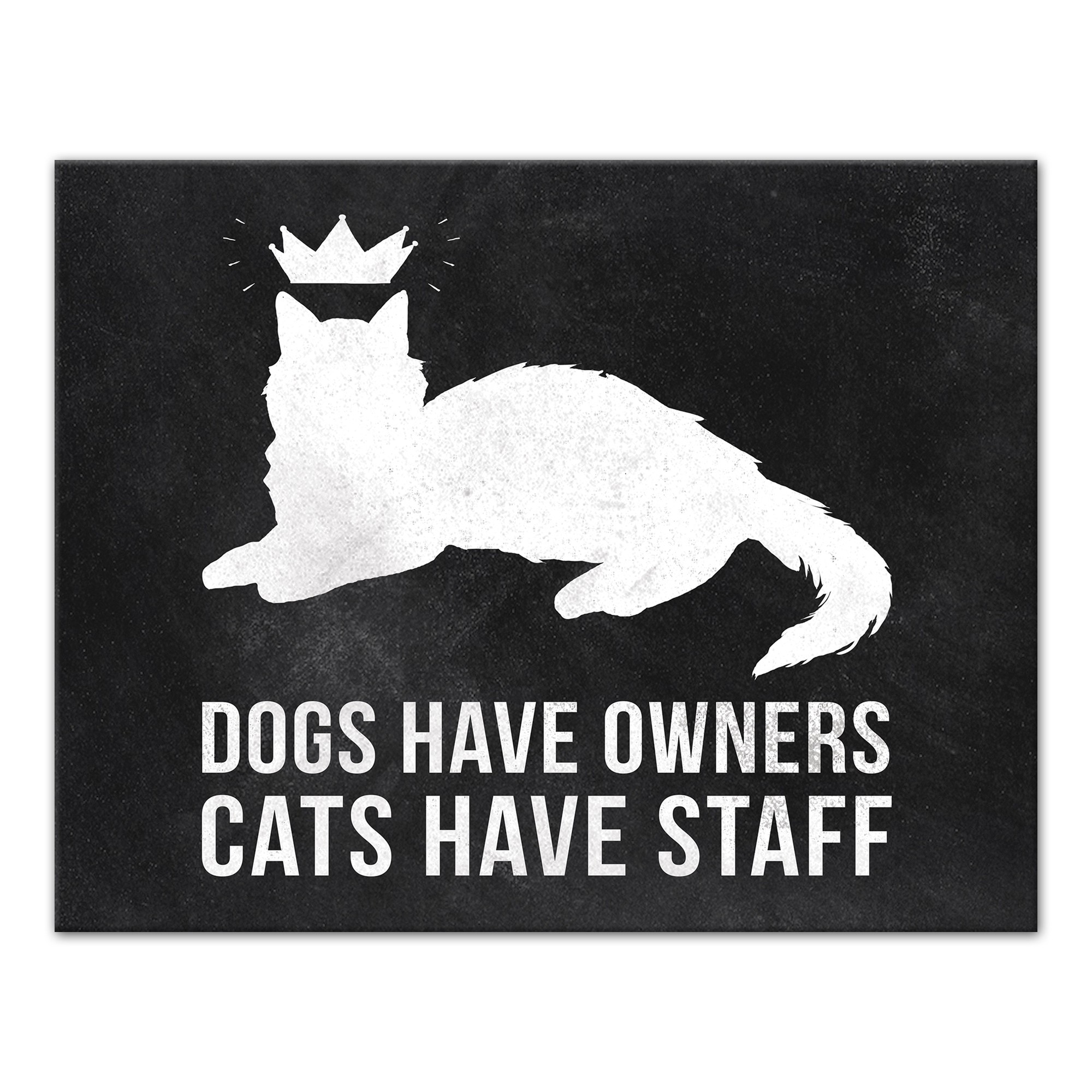 Dogs Have Owners, Cats Have Staff 11x14 Canvas Wall Art