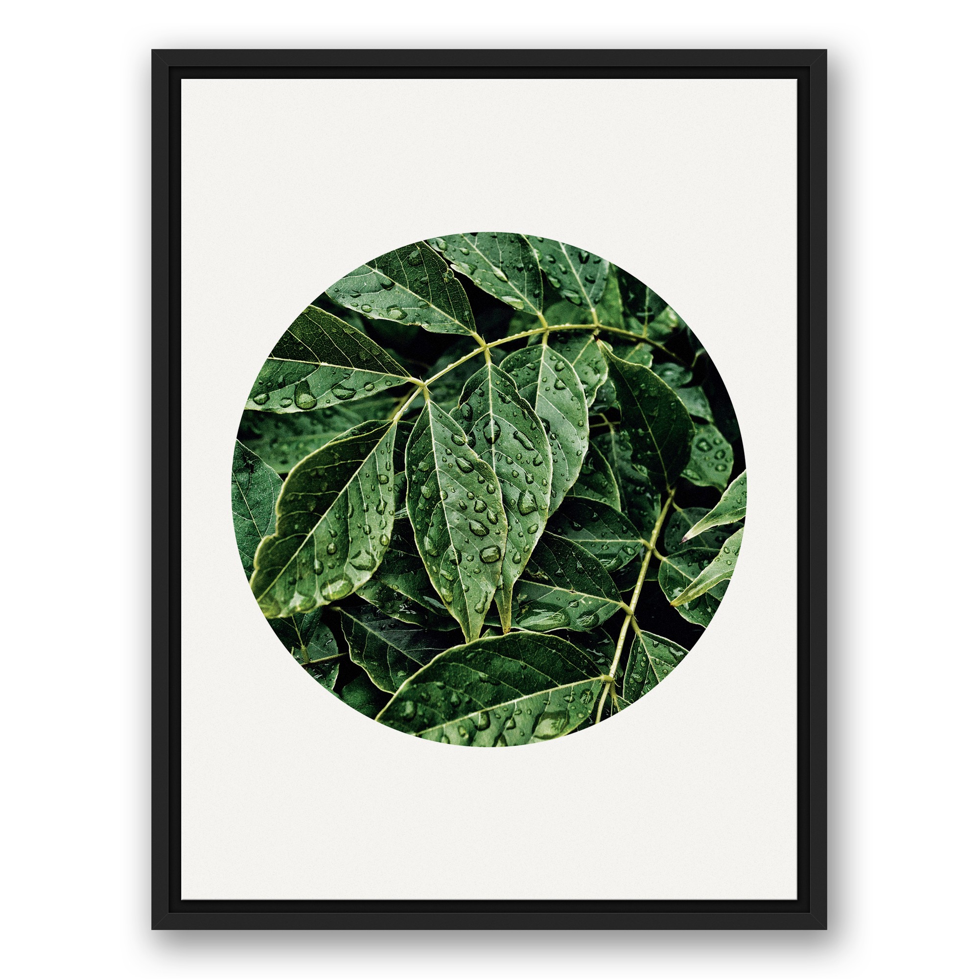 Leaves After The Rain 18x24 Black Floating Framed Canvas