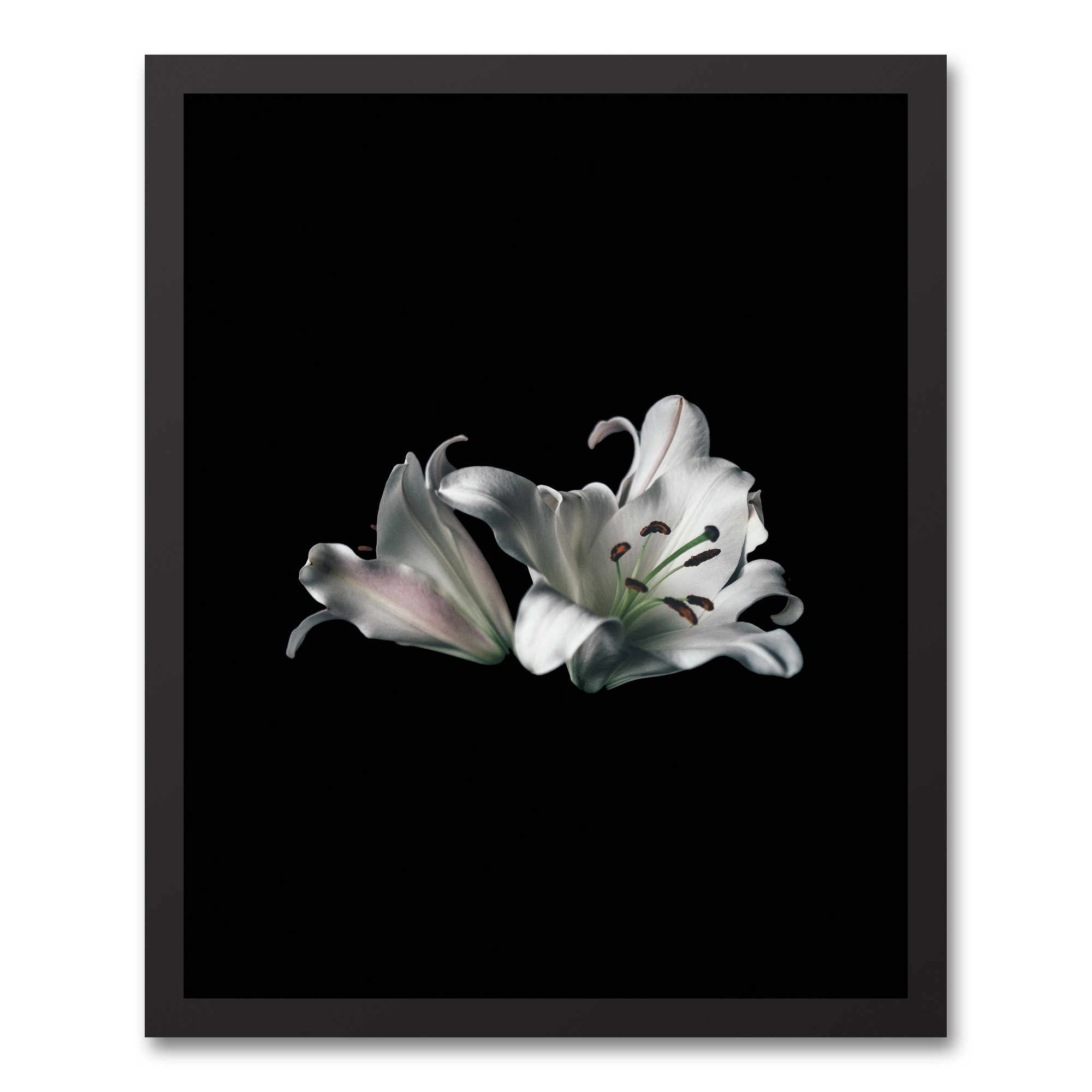 Lillies Portait 16x20 Black Framed Canvas