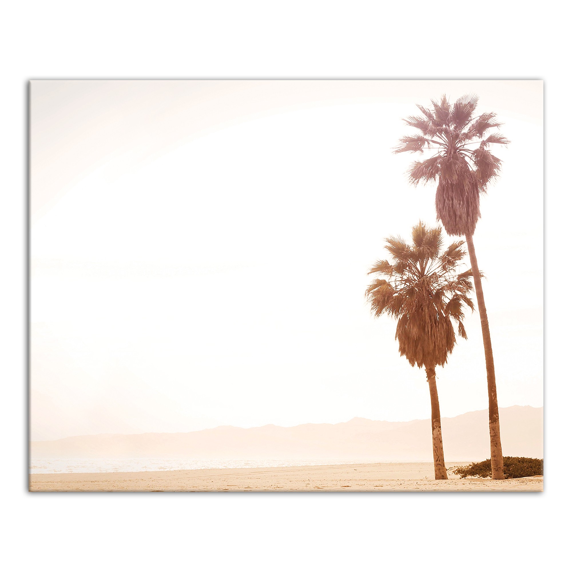 Sepia Palm Trees 16x20 Canvas Wall Art