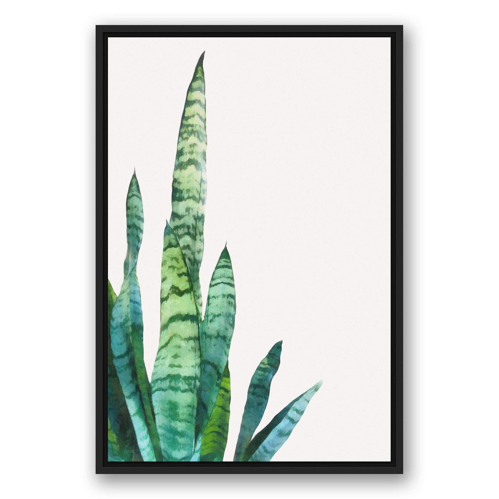 Painted Tropical Fern 20x30 Black Floating Framed Canvas