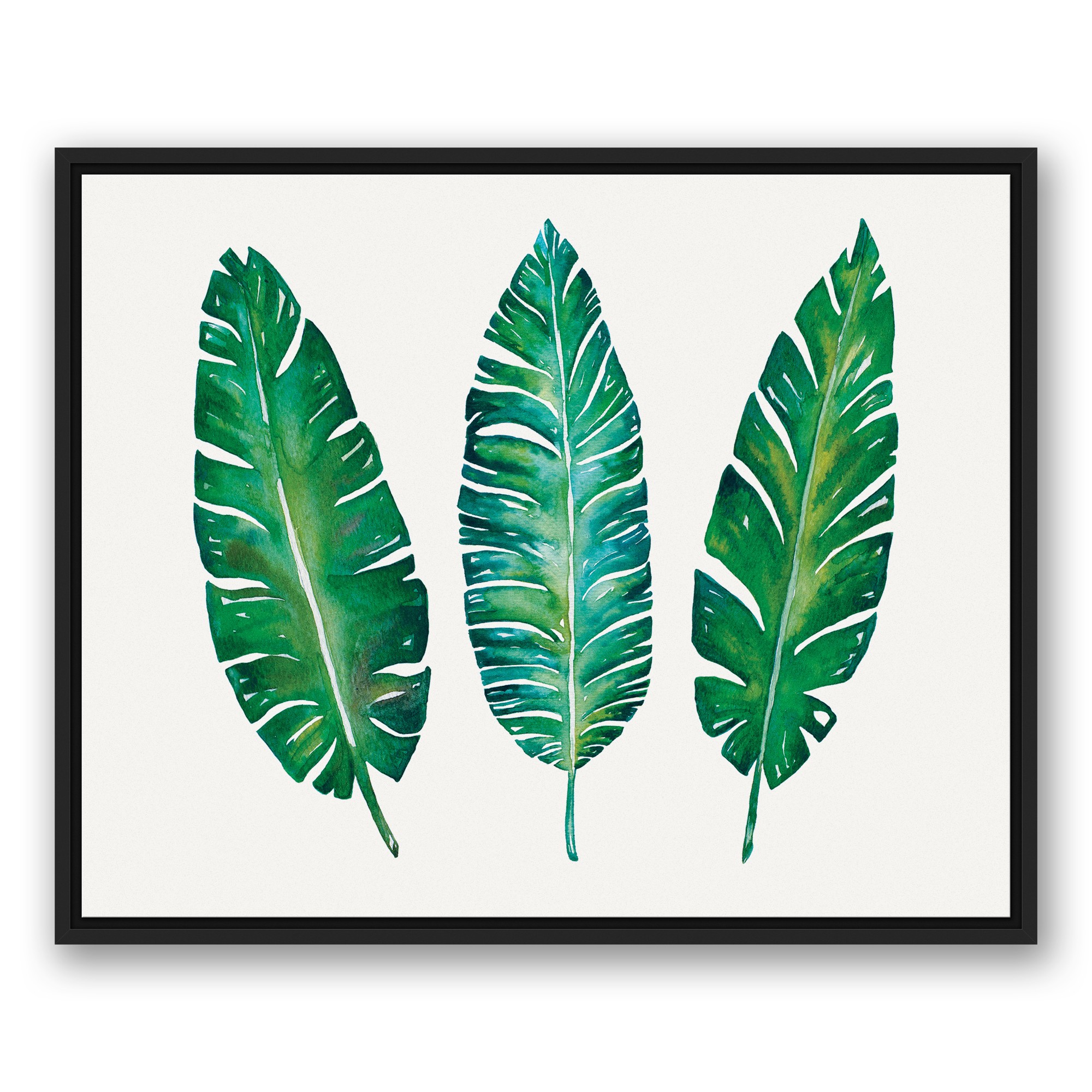 Three Palm Leaves 24x30 Black Floating Framed Canvas
