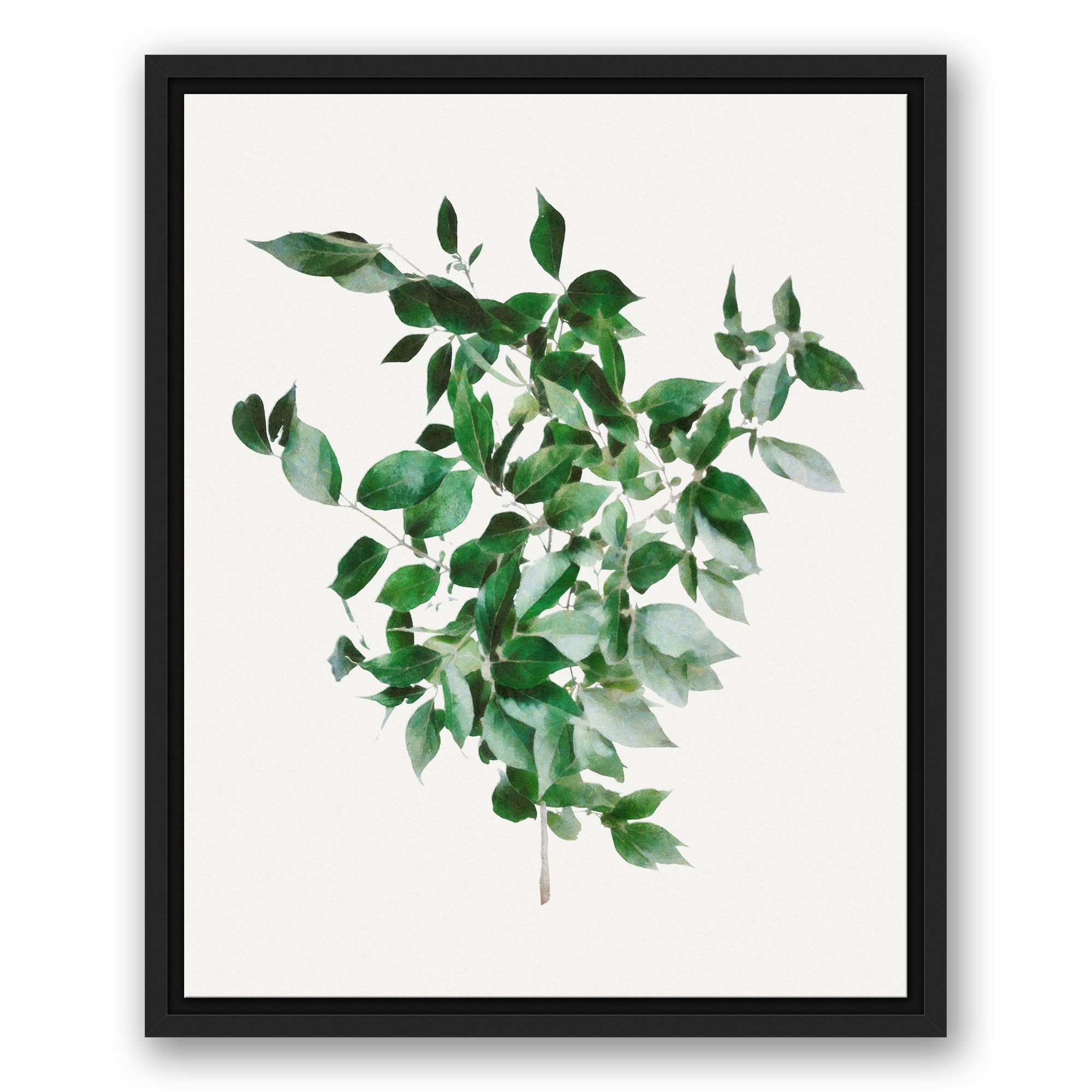 Green Bush 16x20 Black Floating Framed Canvas