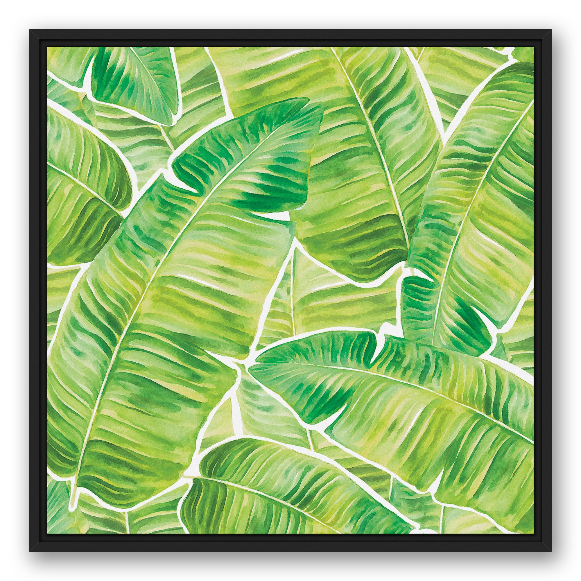 Green Palm Leaves 24x24 Black Floating Framed Canvas