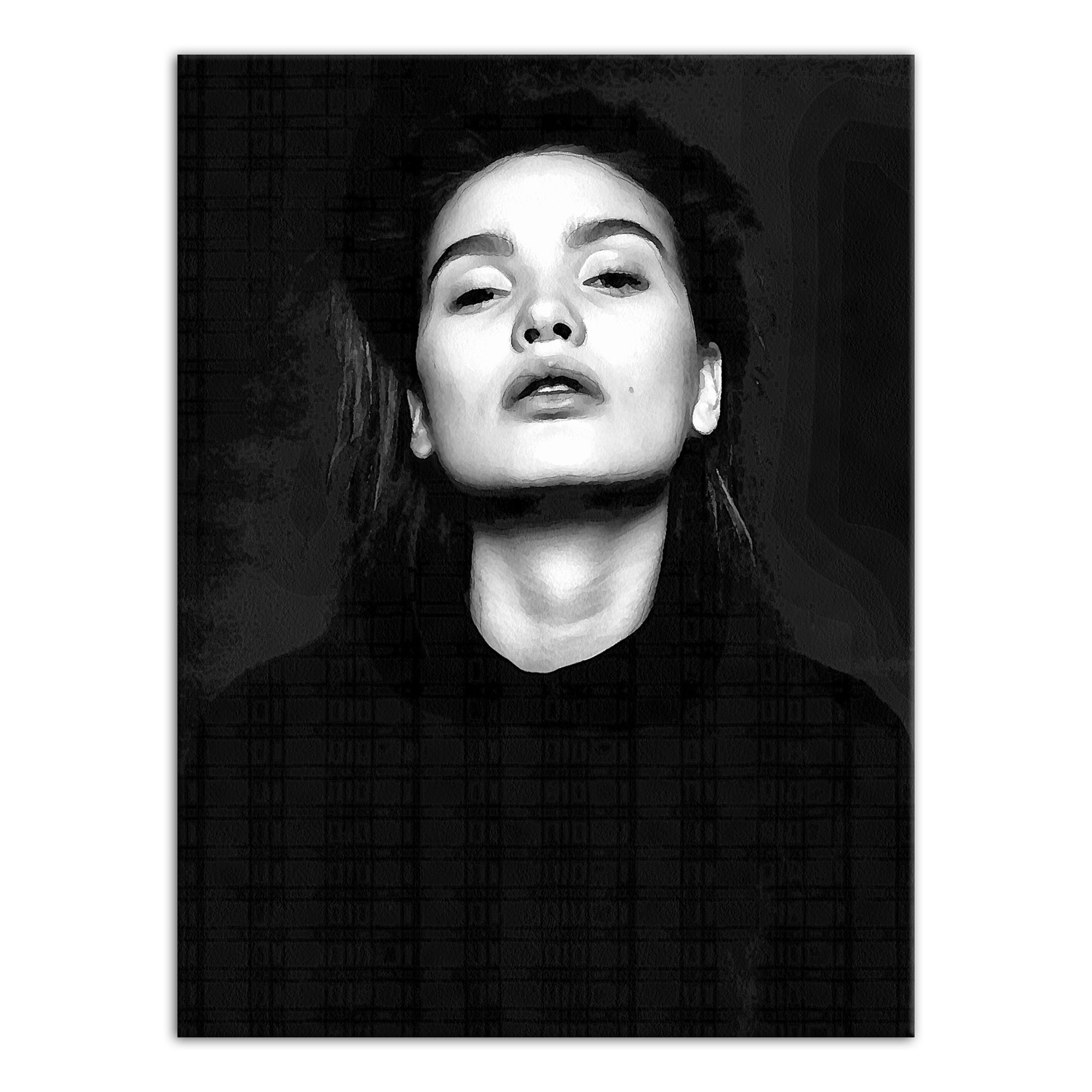 Dame 18x24 Canvas Wall Art