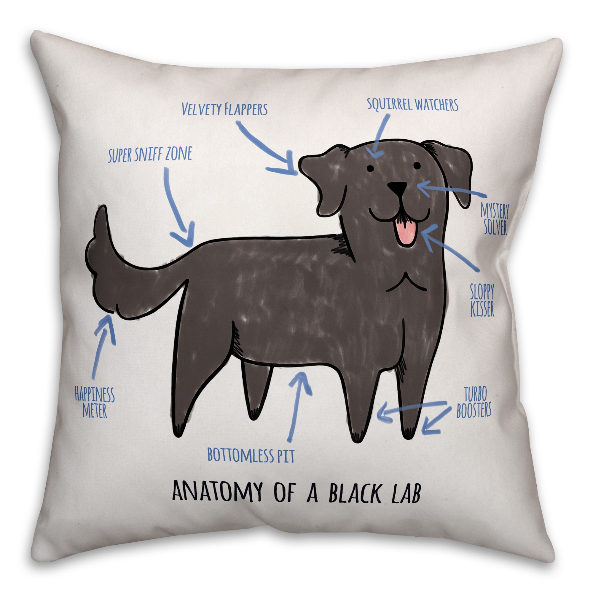 Black Lab Anatomy 18x18 Spun Poly Pillow