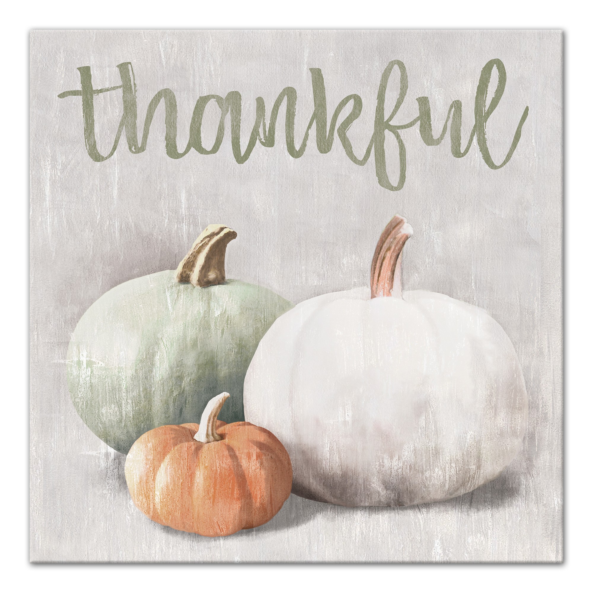 Thankful Colored Pumpkins 16x16 Canvas Wall Art
