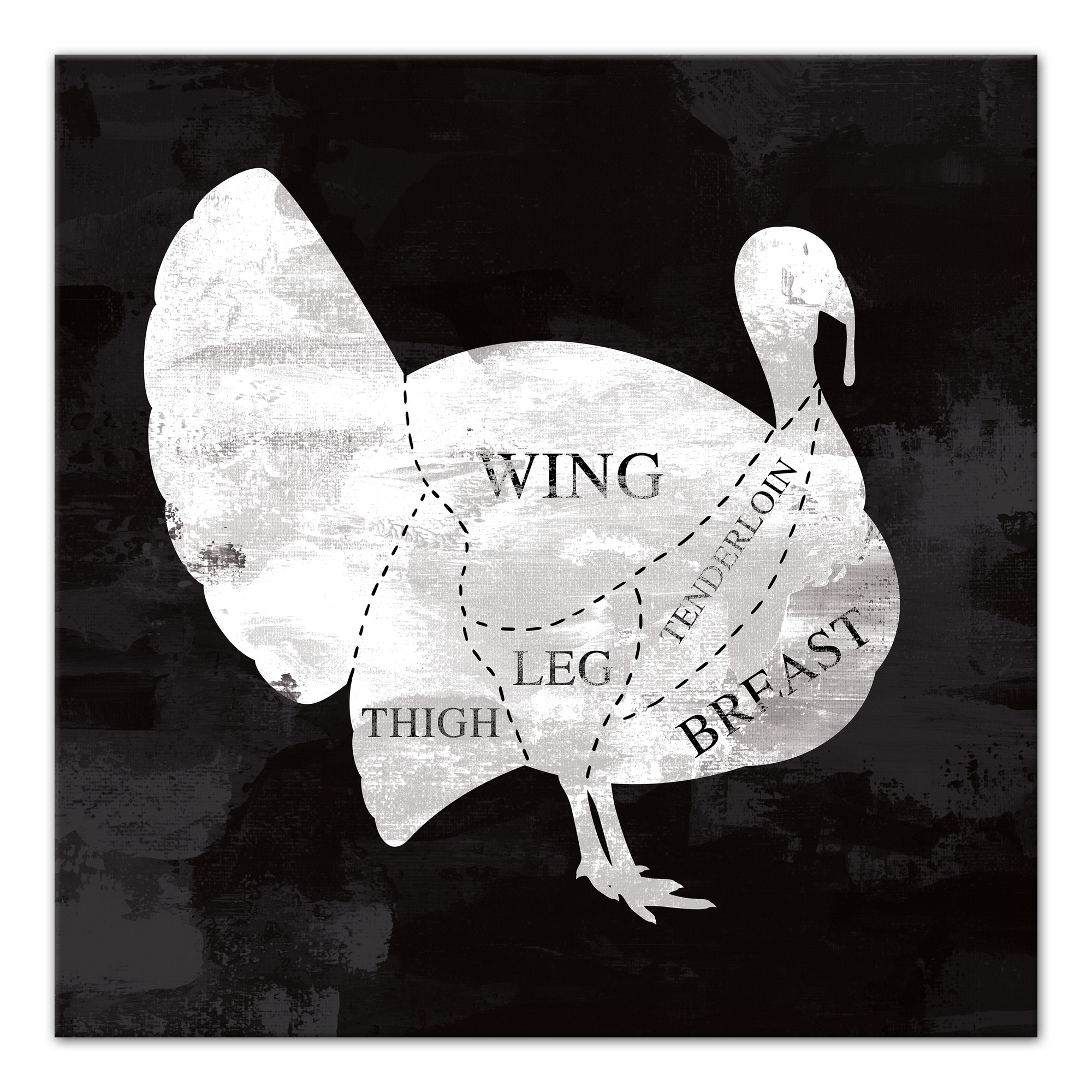 Turket Anatomy 20x20 Canvas Wall Art