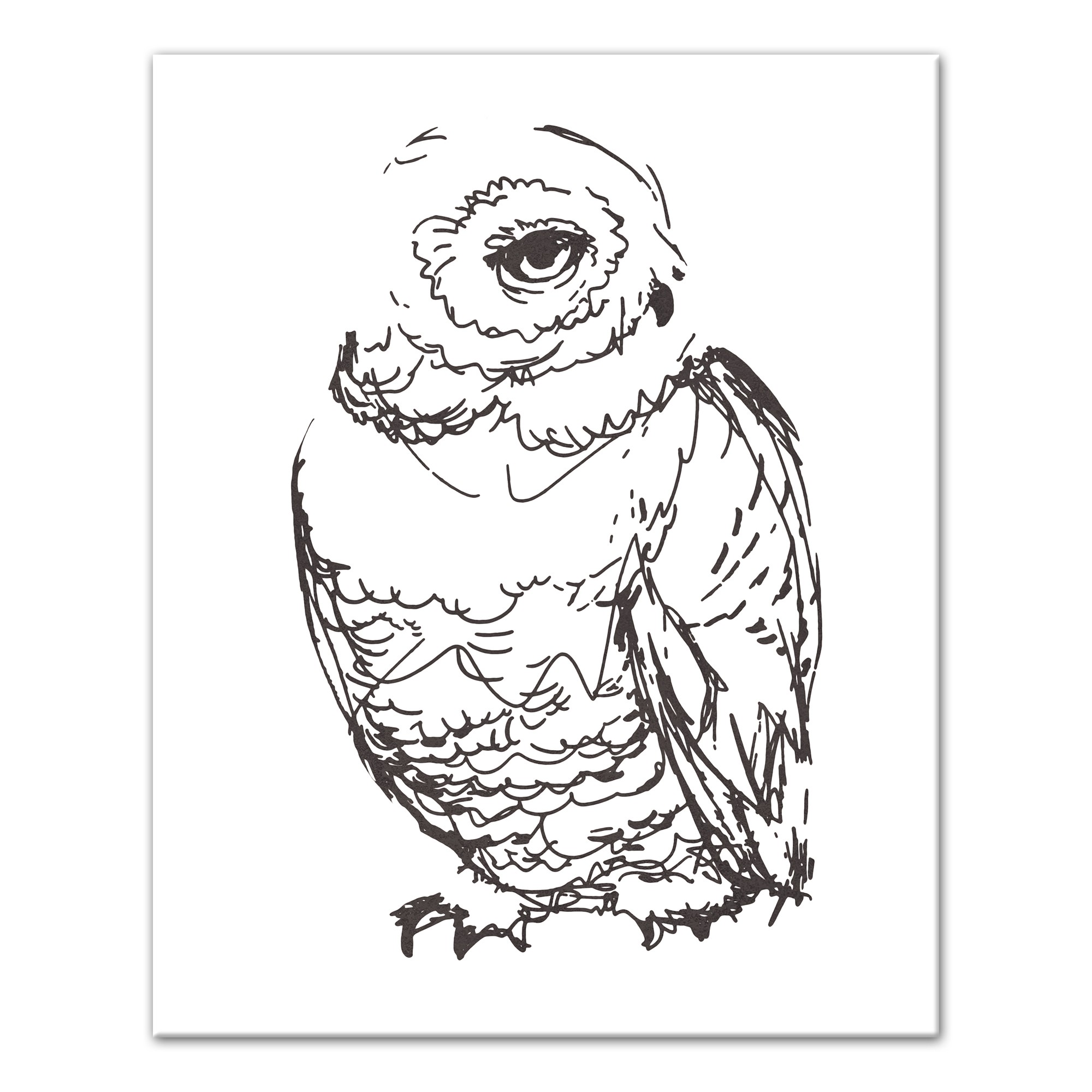 Owl Sketch 16x20 Canvas Wall Art