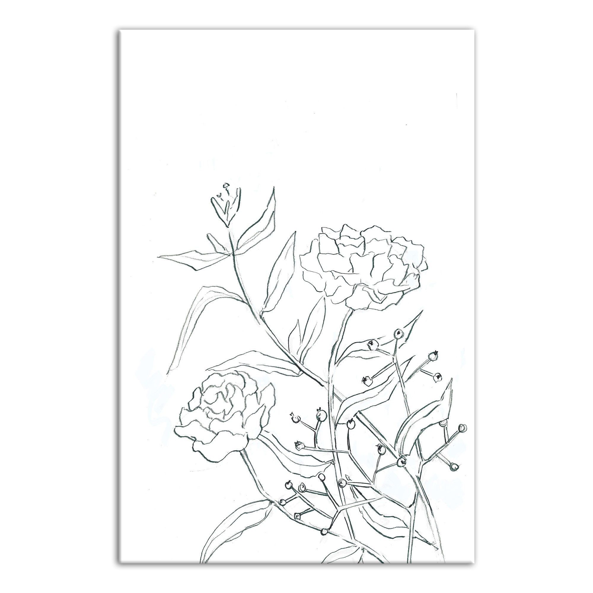 Roses Sketch 20x30 Canvas Wall Art