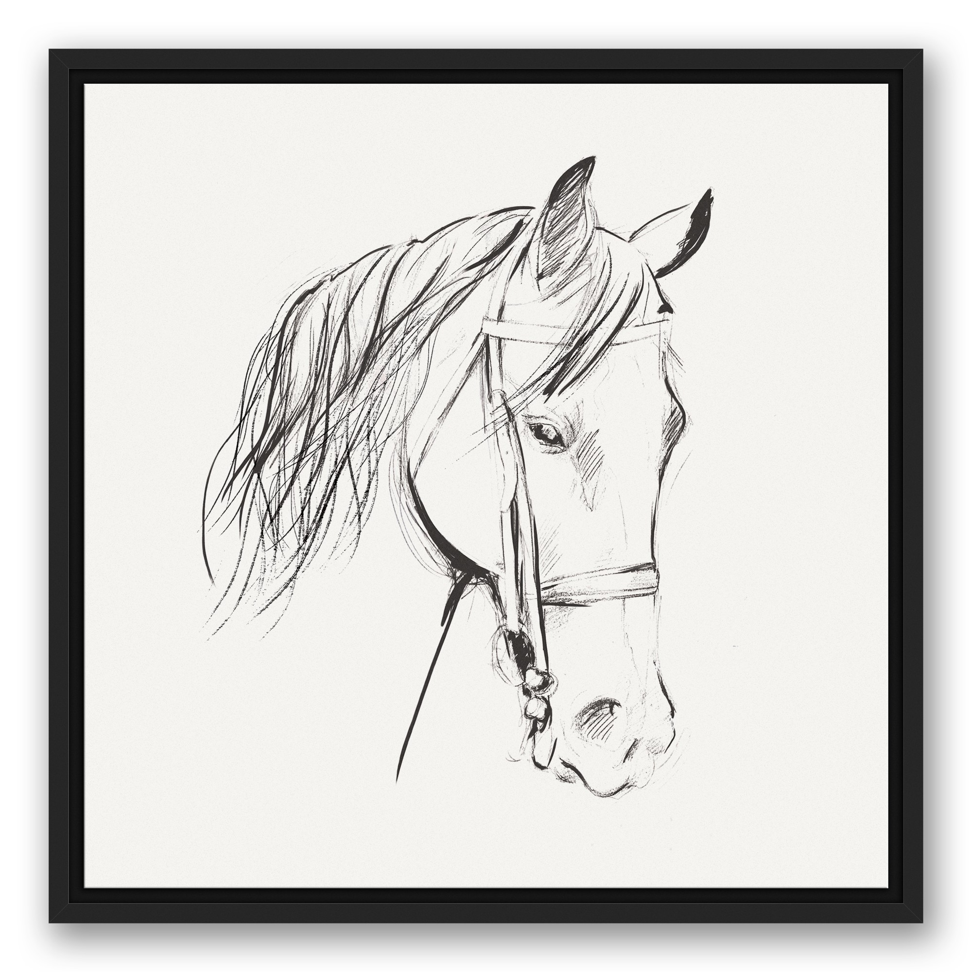 Calm Horse Sketch 20x20 Black Floating Framed Canvas