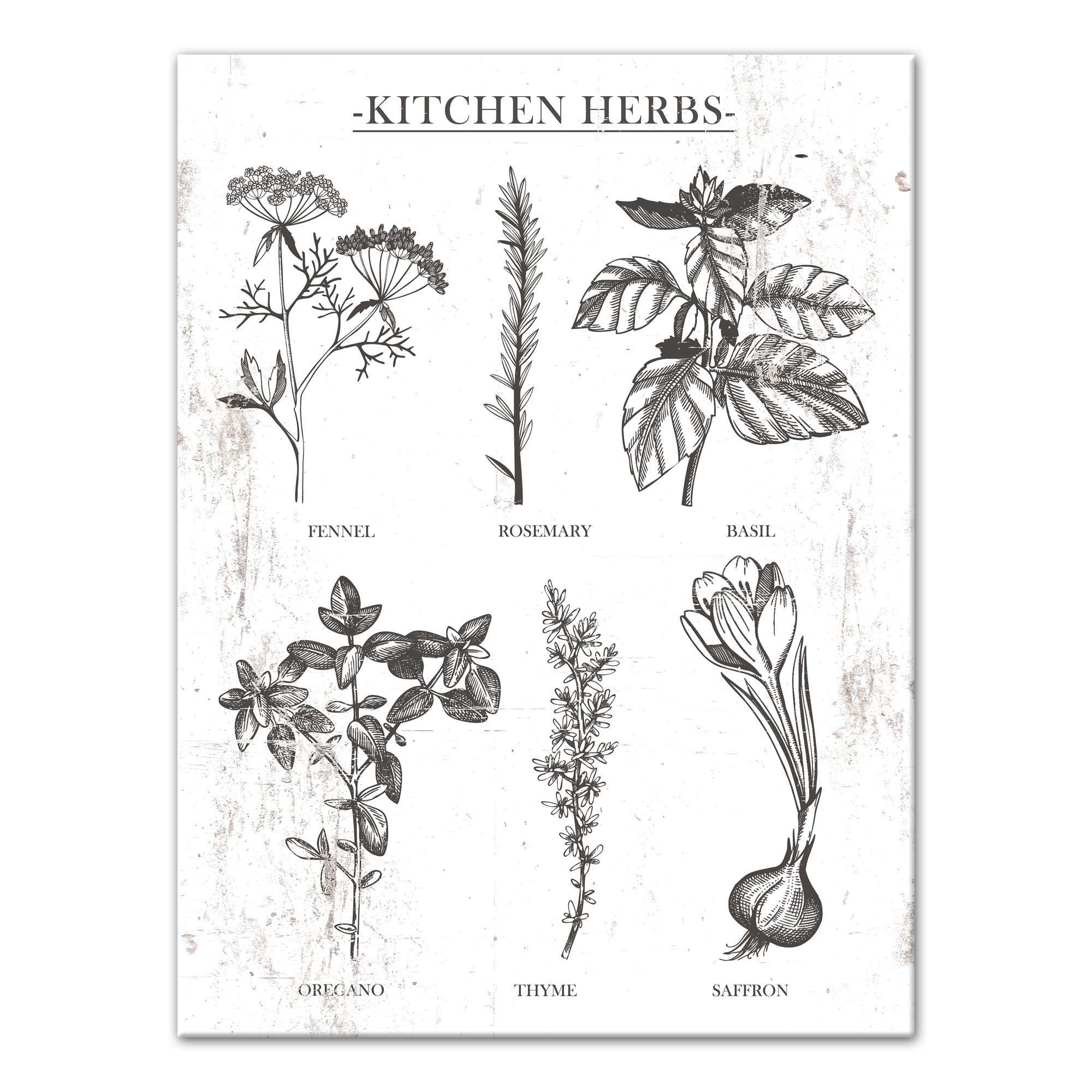 Six Distressed Kitchen Herbs 18x24 Canvas Wall Art