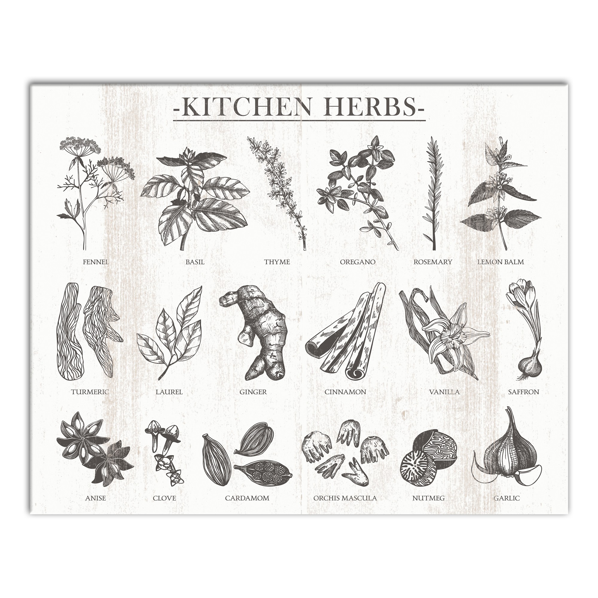 Kitchen Herbs 16x20 Canvas Wall Art