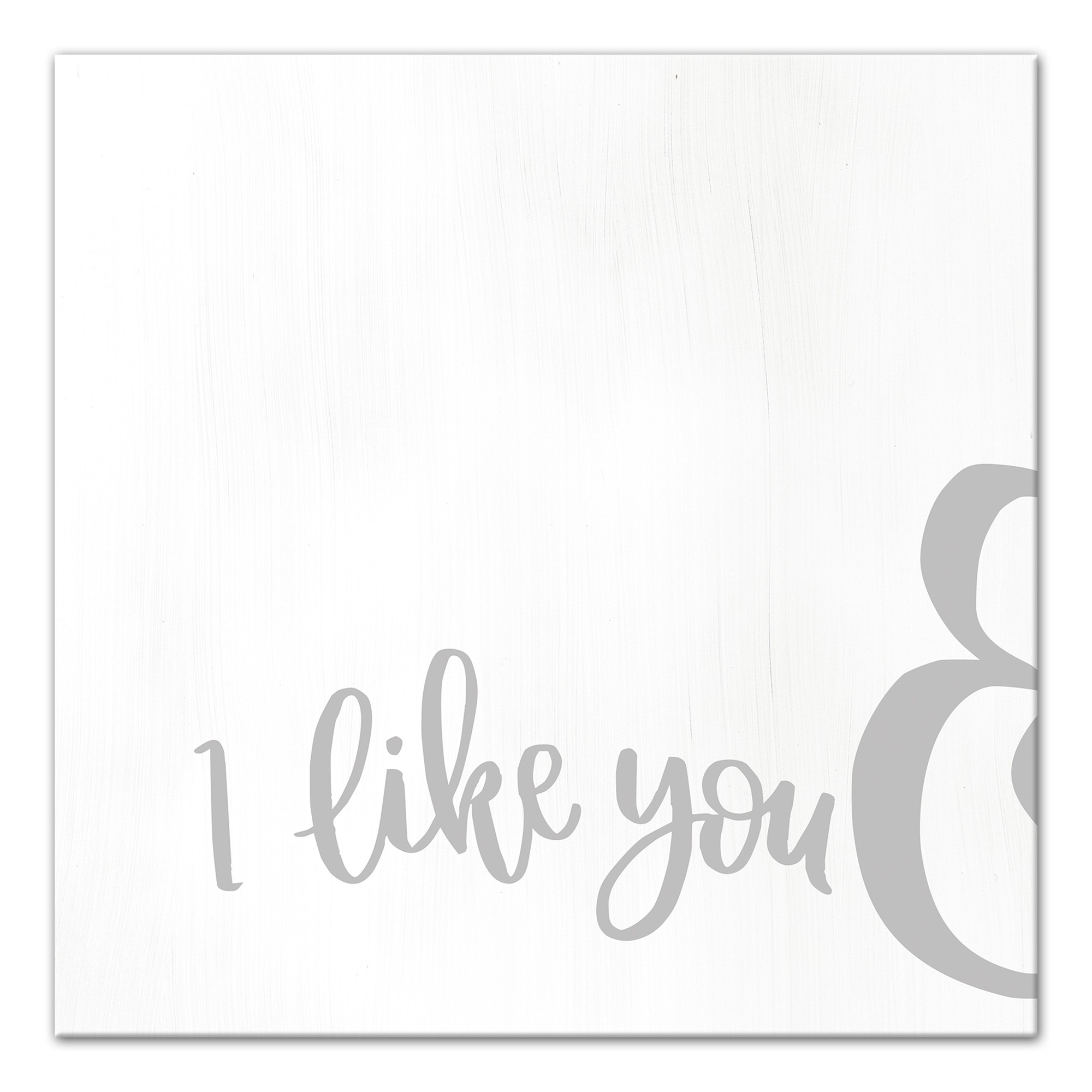 I Like You & 12x12 Canvas Wall Art
