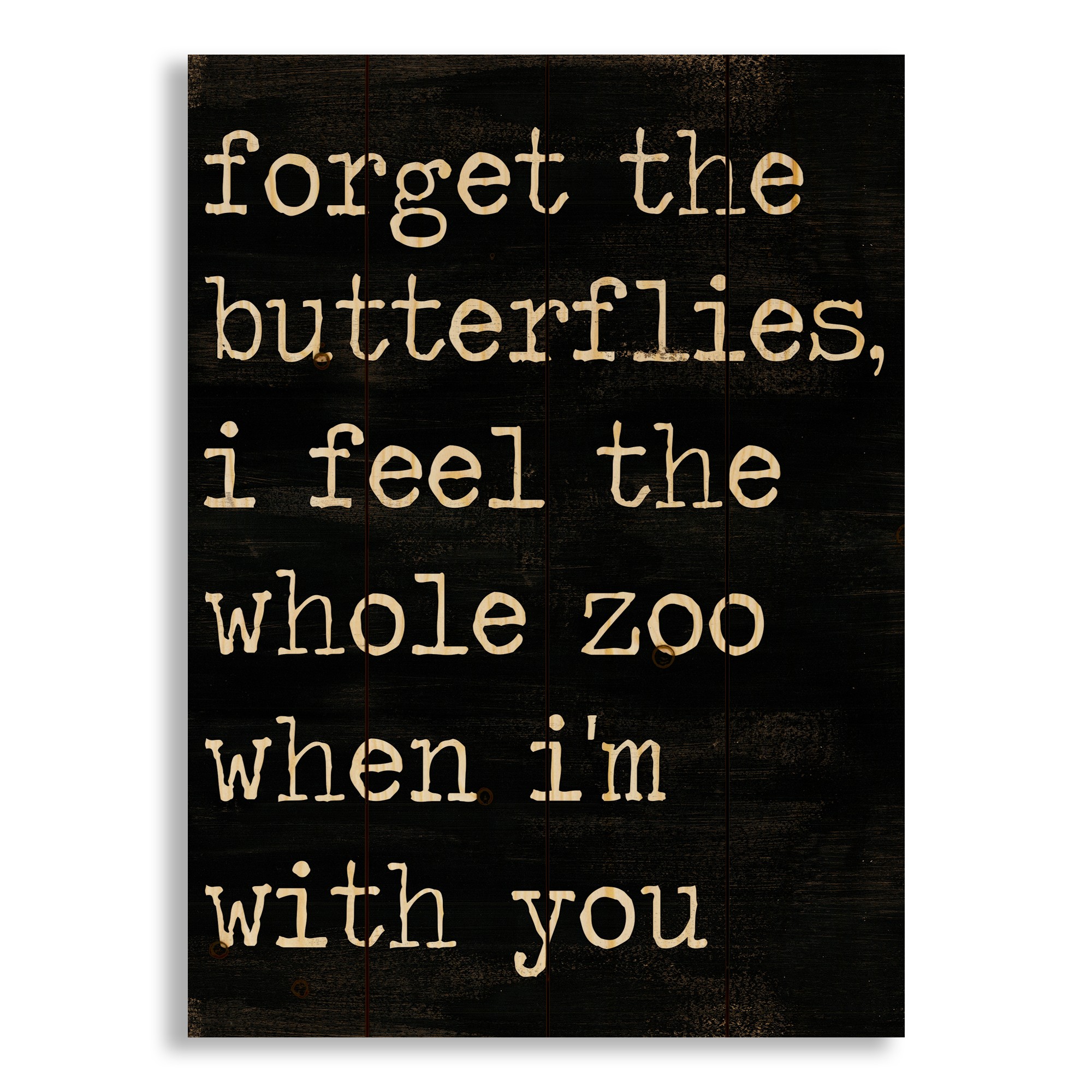 Forget The Butterflies 14x20 Pallet Wood Art