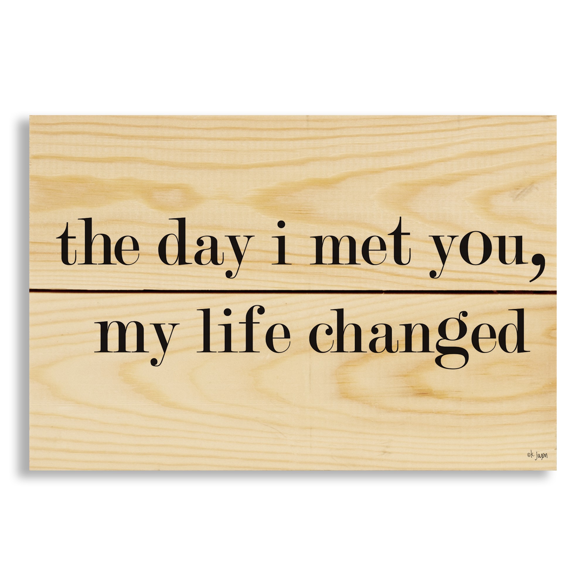 The Day I Met You, My Life Changed 10.5x7 Pallet Wood Art