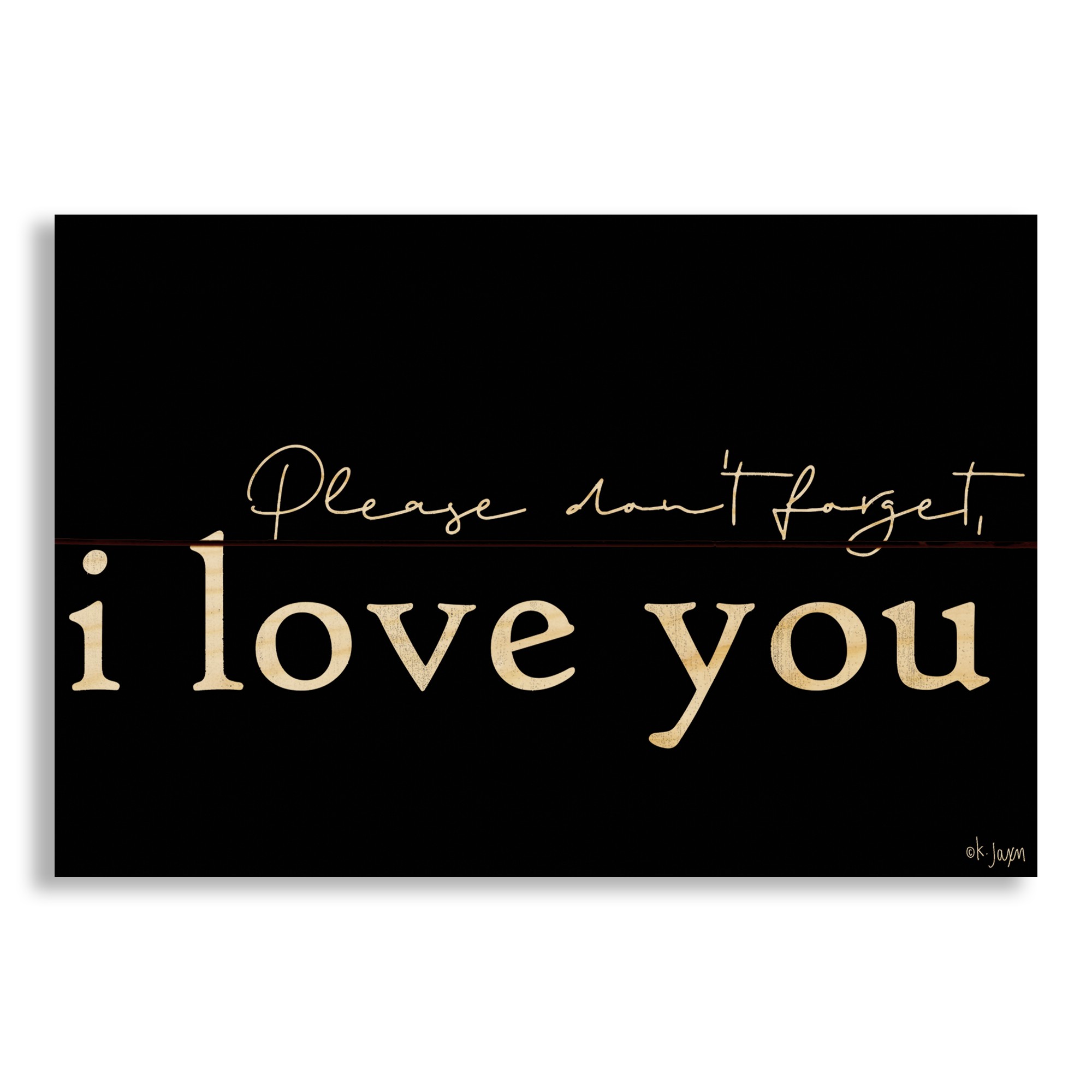 Please Don't Forget I Love You 10.5x7 Pallet Wood Art