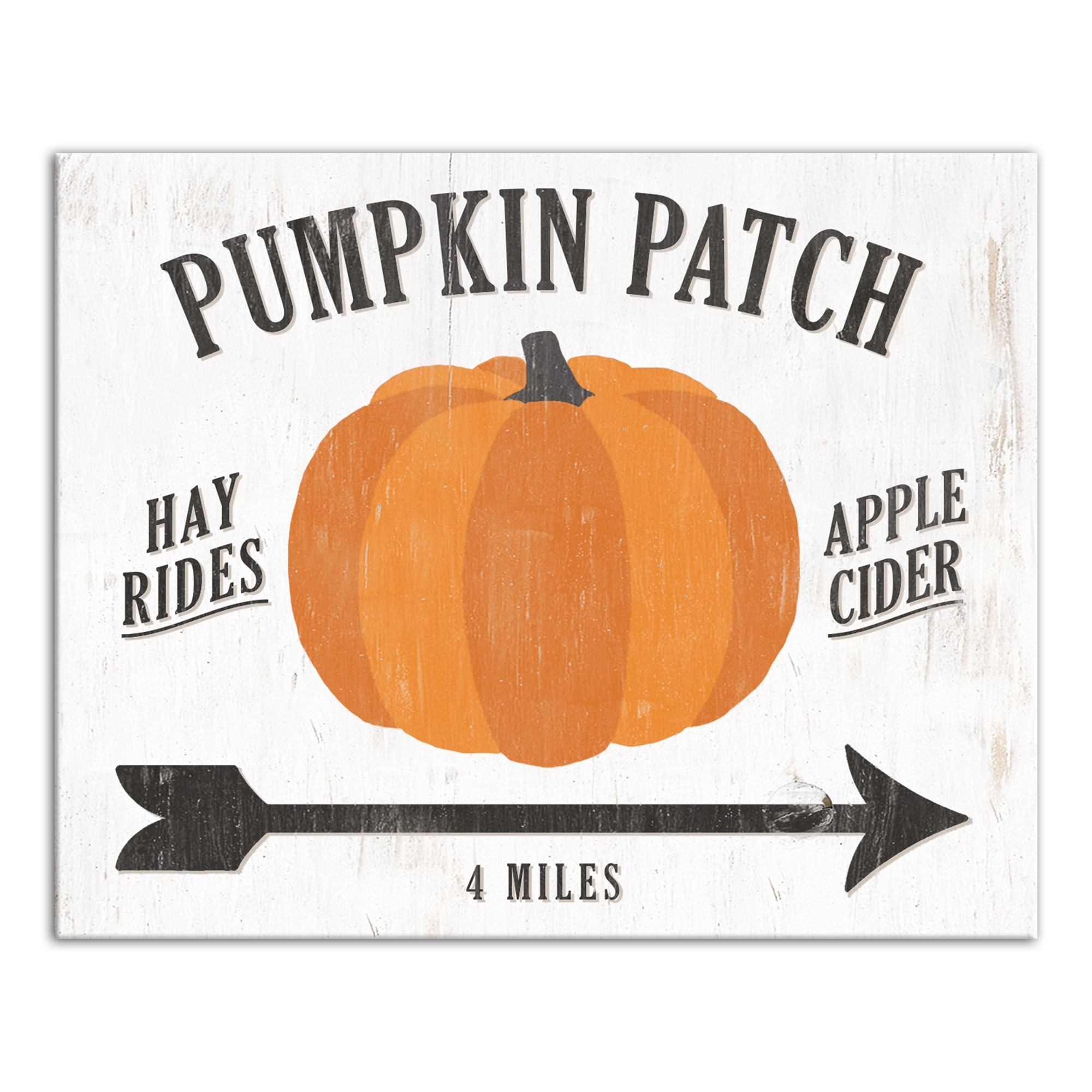 Pumpkin Patch 16x20 Canvas Wall Art