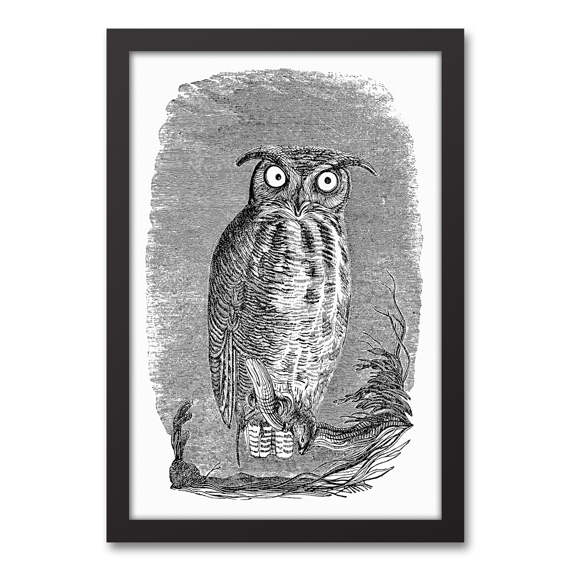Gray Night Owl 12x18 Black Framed Canvas