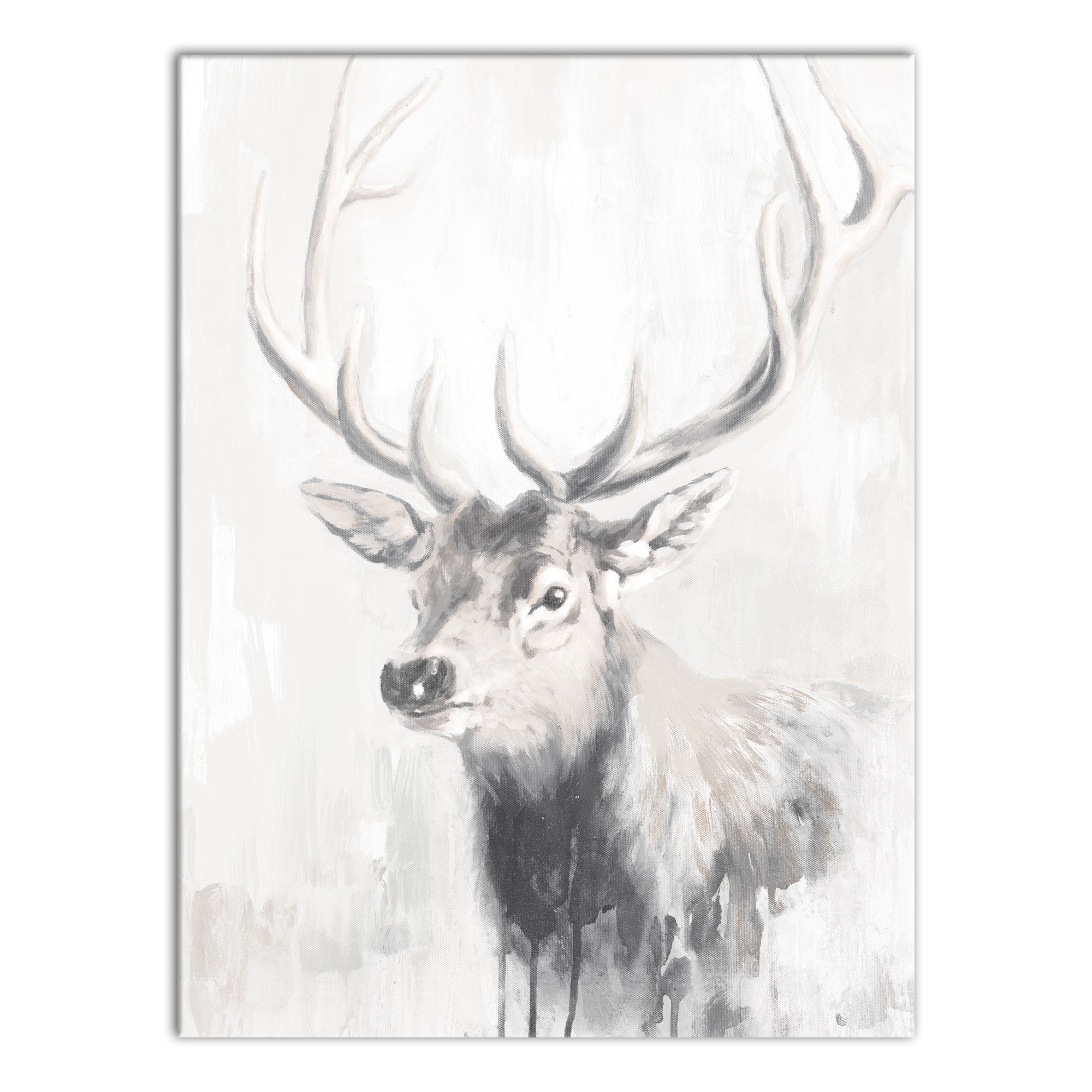 Winter Elk 18x24 Canvas Wall Art