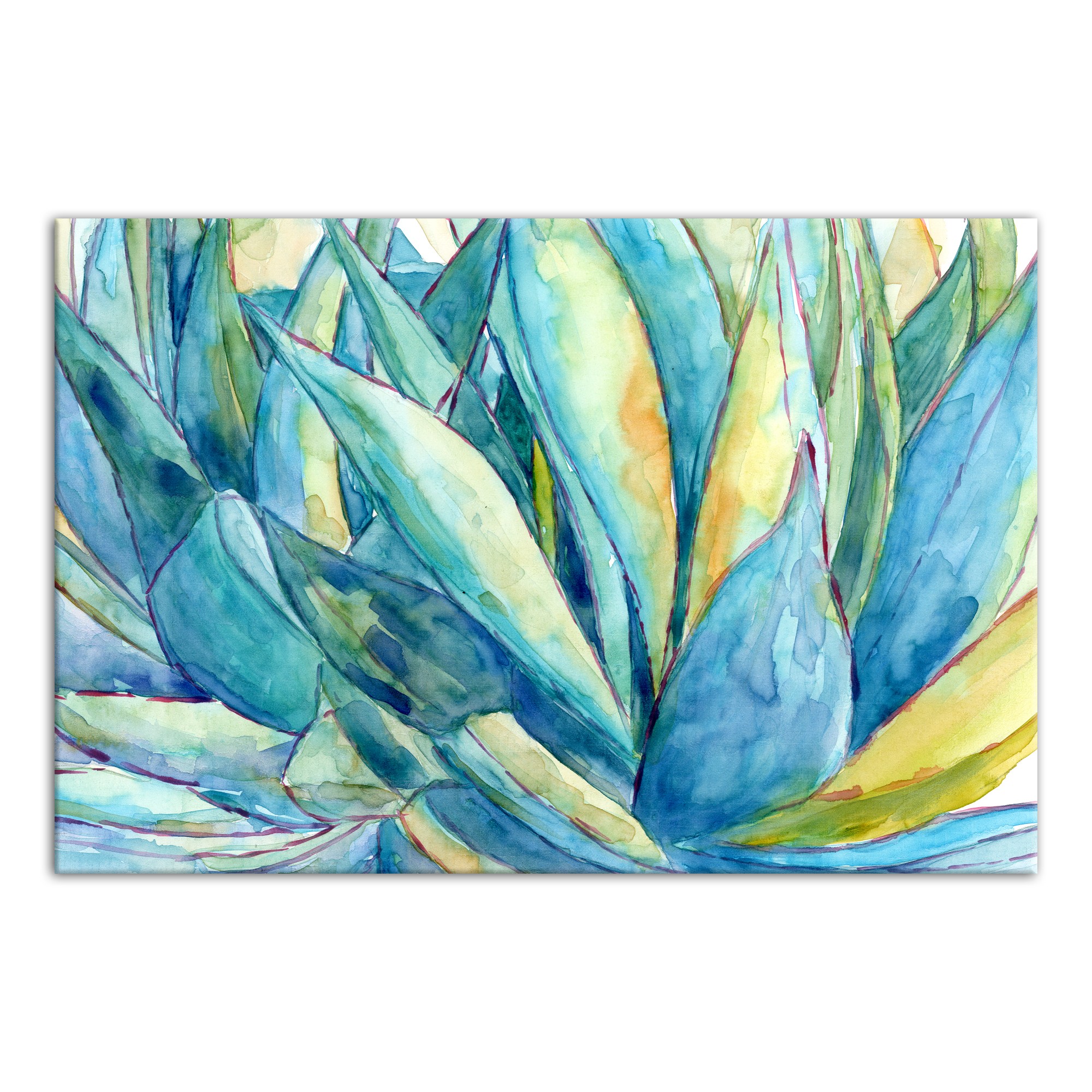 Watercolor Aloe Plant 32x48 Canvas Wall Art
