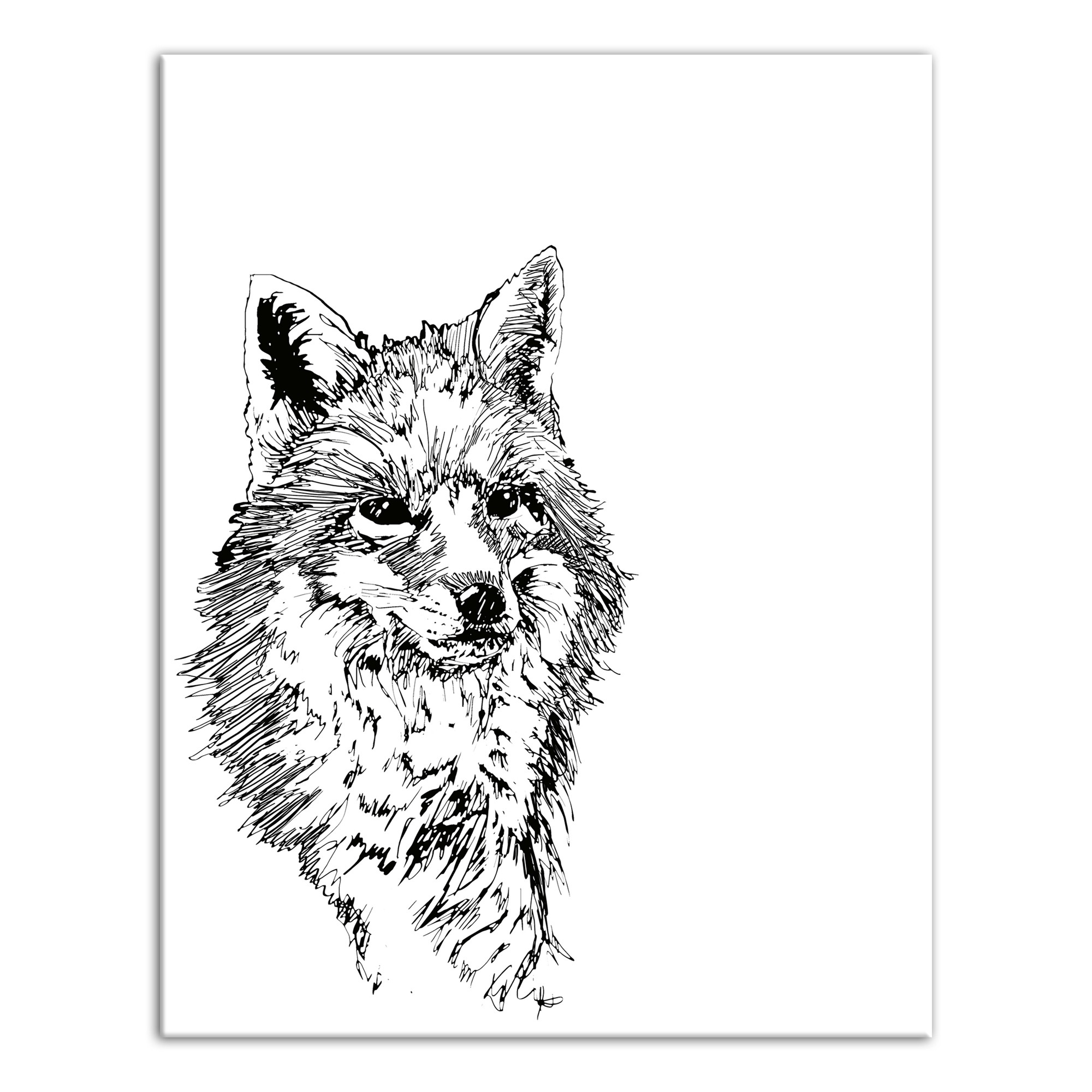 Fox Sketch 11x14 Canvas Wall Art