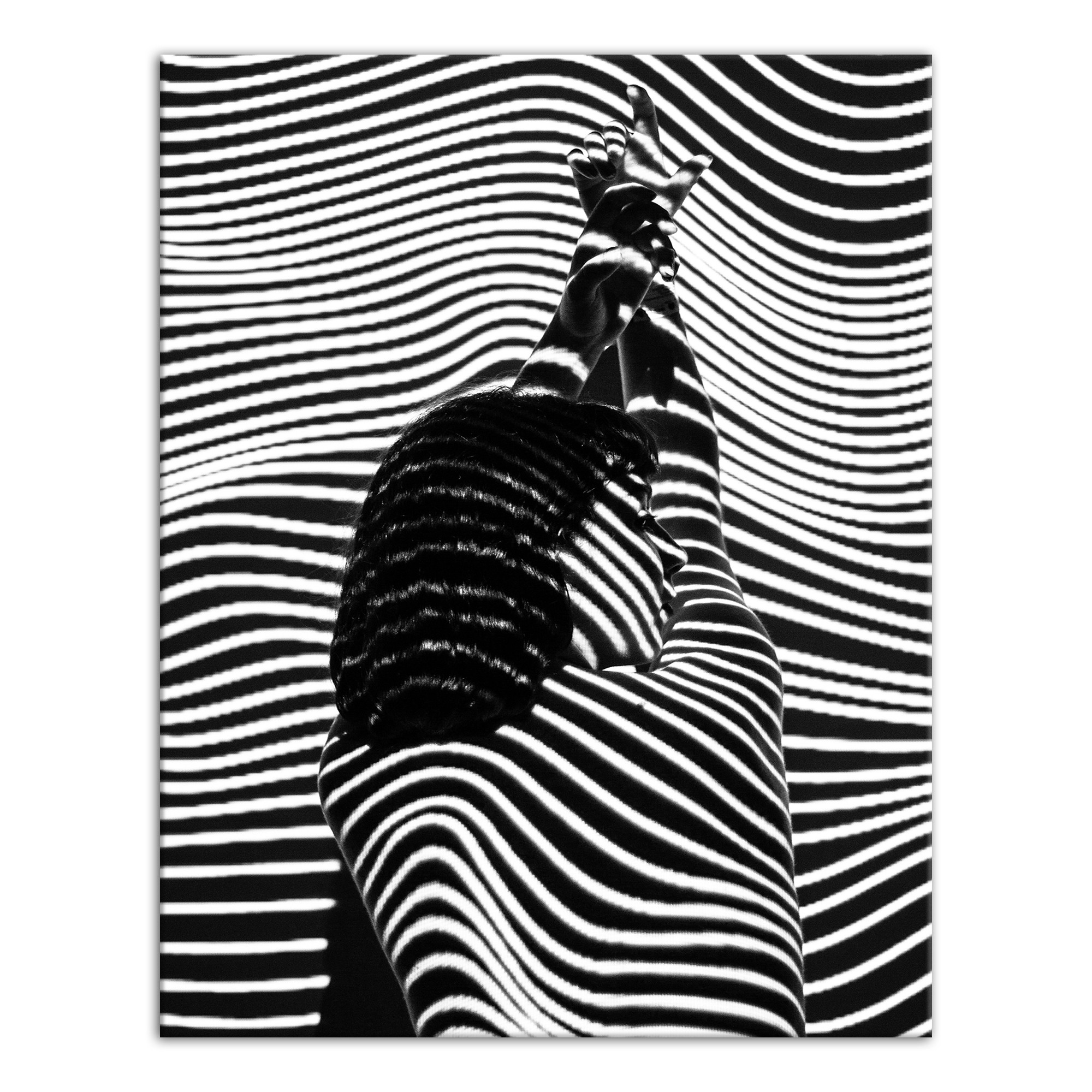 Abstract Zebra Woman 11x14 Canvas Wall Art