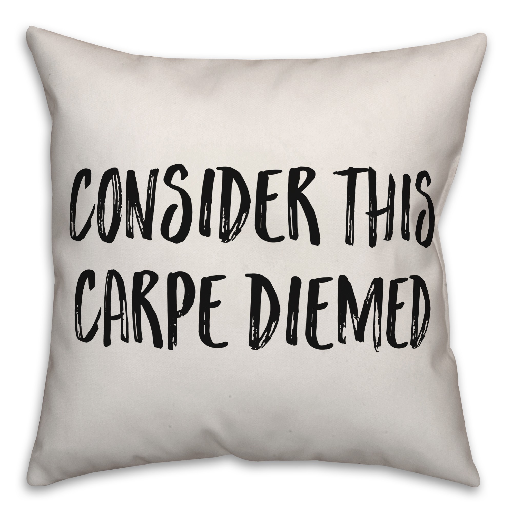 Consider This Carpe Diemed Pillow