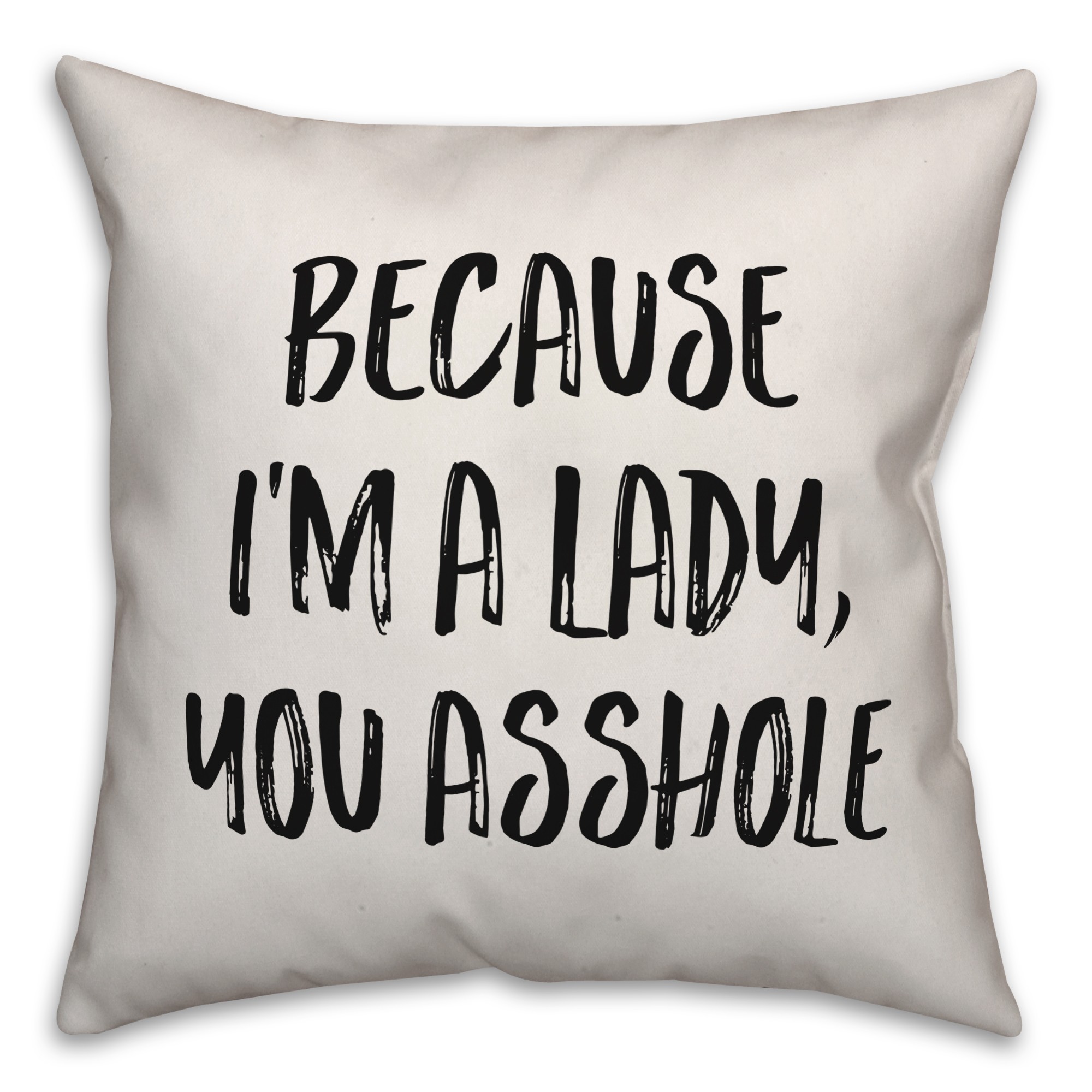 Because I'm A Lady Pillow