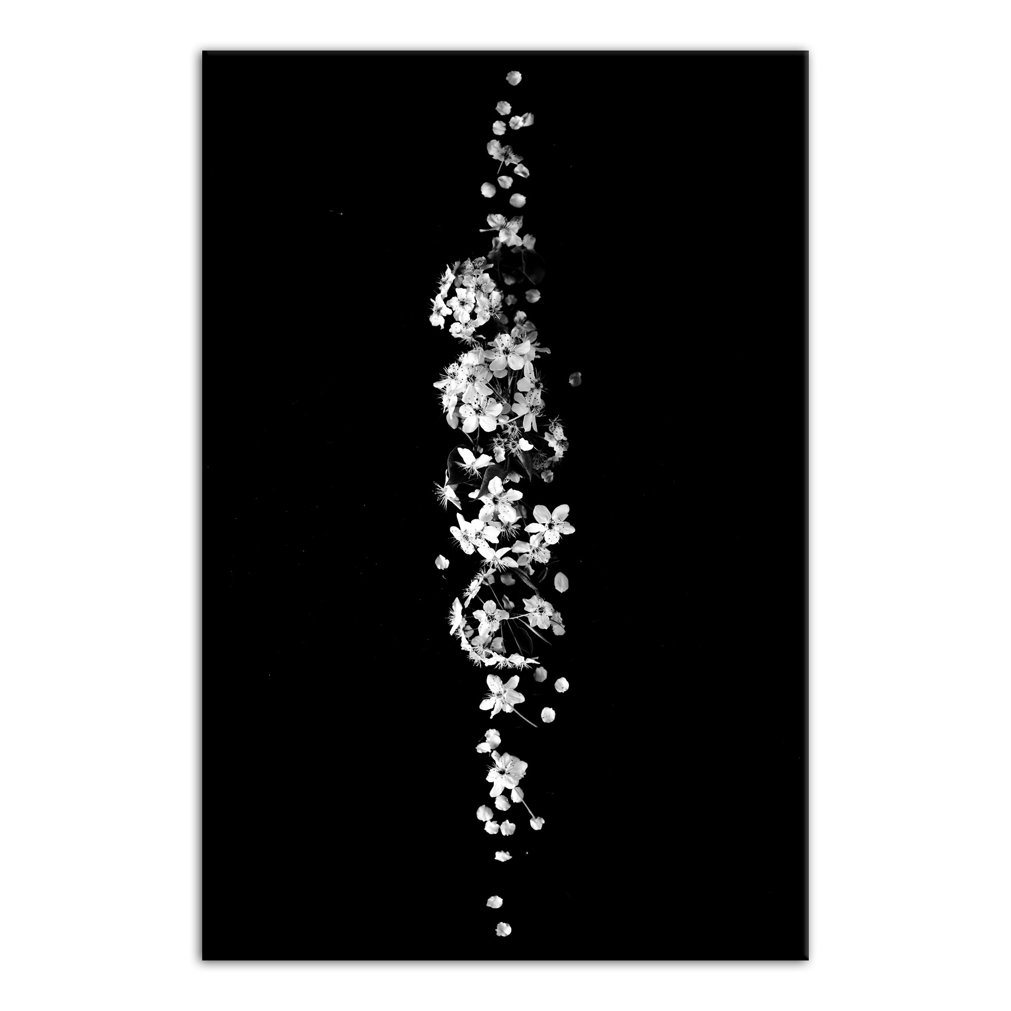 Black and White Floral Midline 24x36 Canvas Wall Art