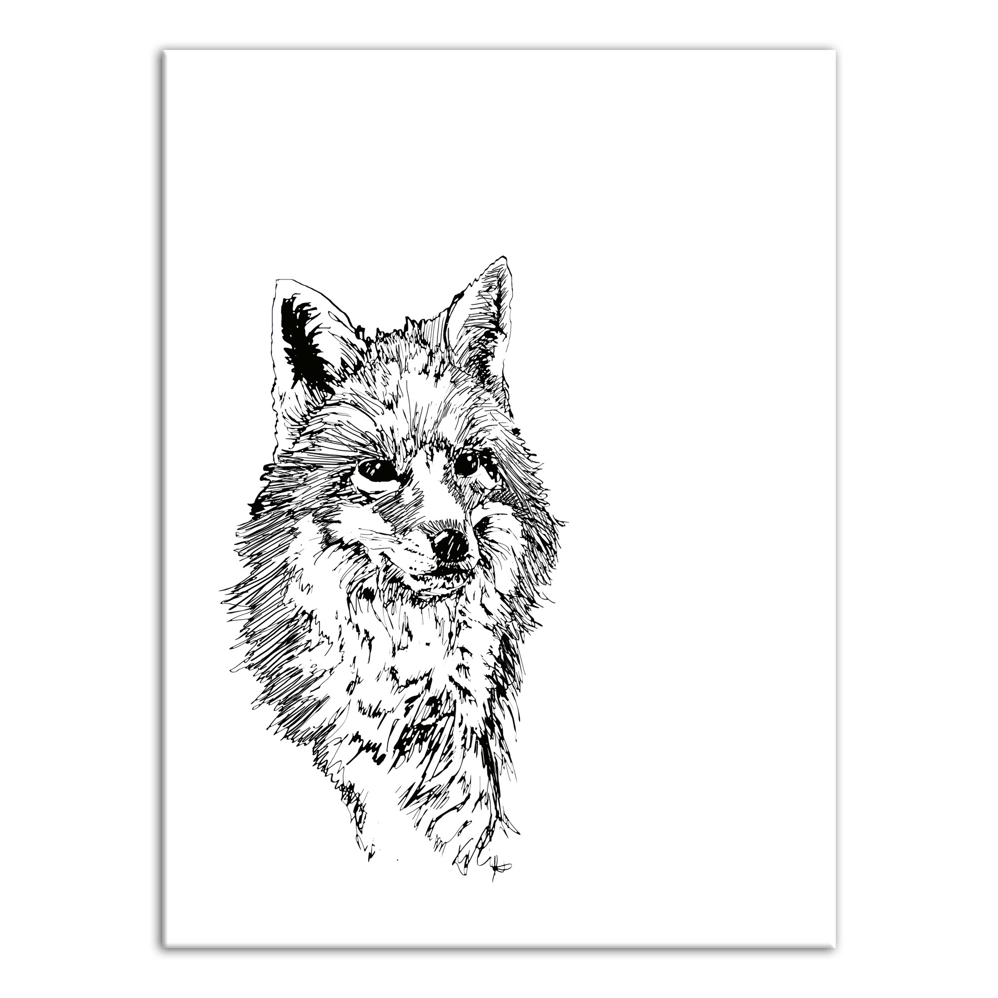 Fox Sketch 30x40 Canvas Wall Art