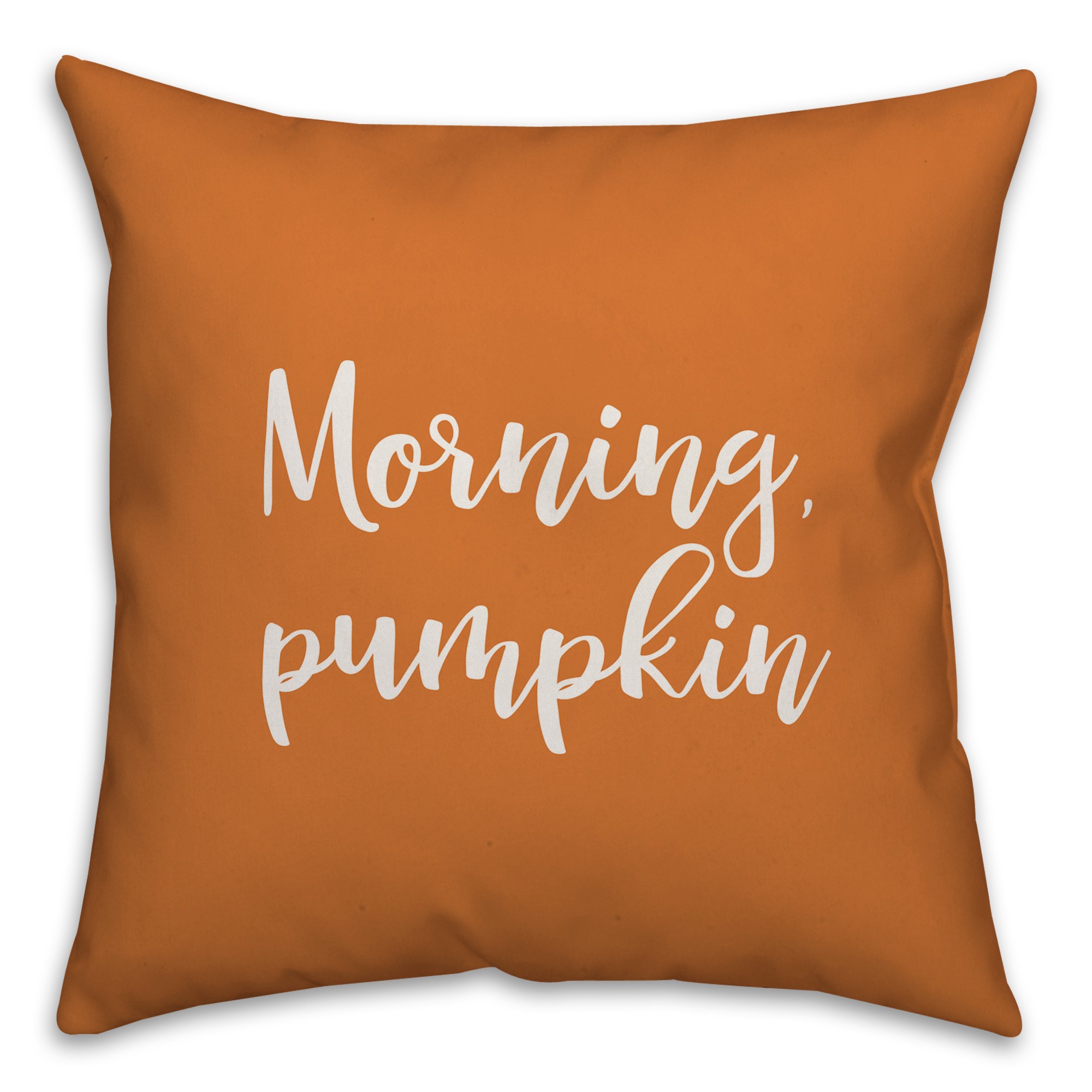 Morning, Pumpkin in Orange 18x18 Spun Poly Pillow Cover