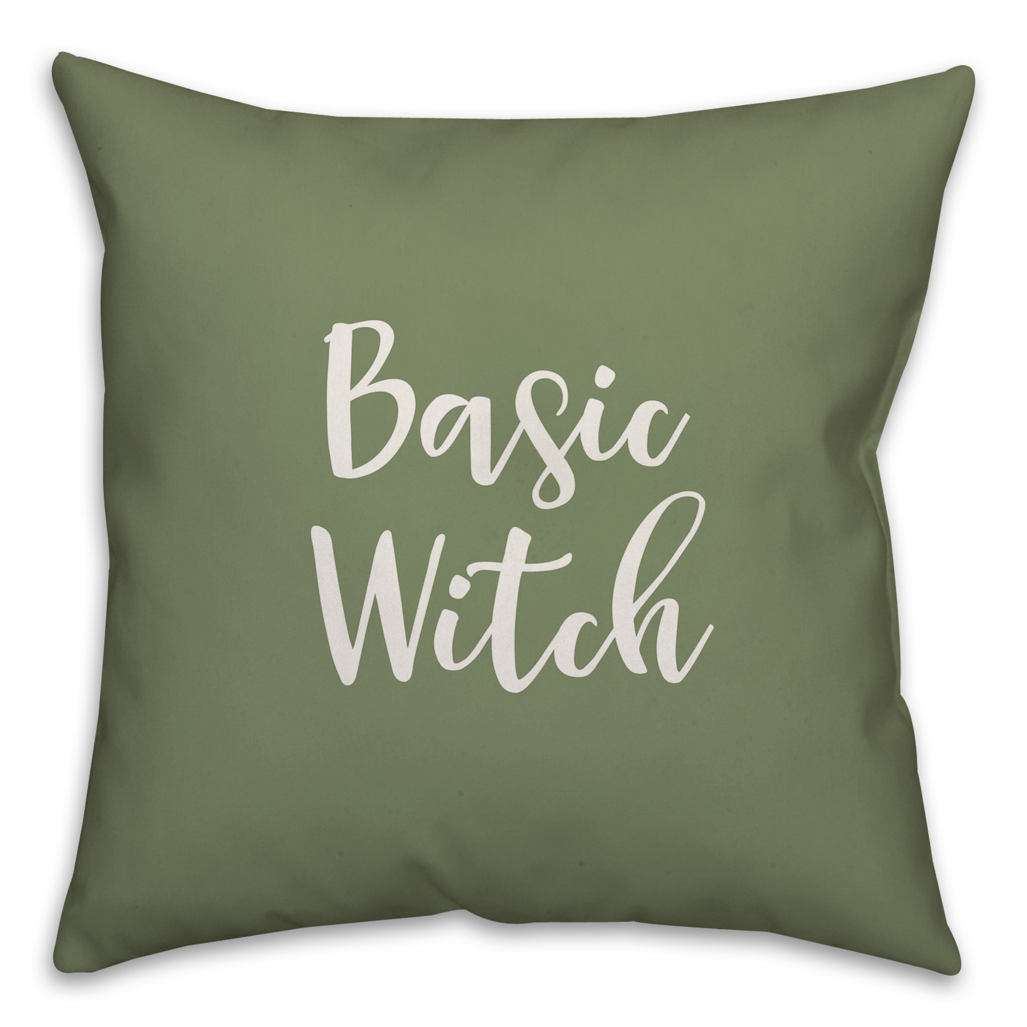 Basic Witch in Green 18x18 Spun Poly Pillow Cover