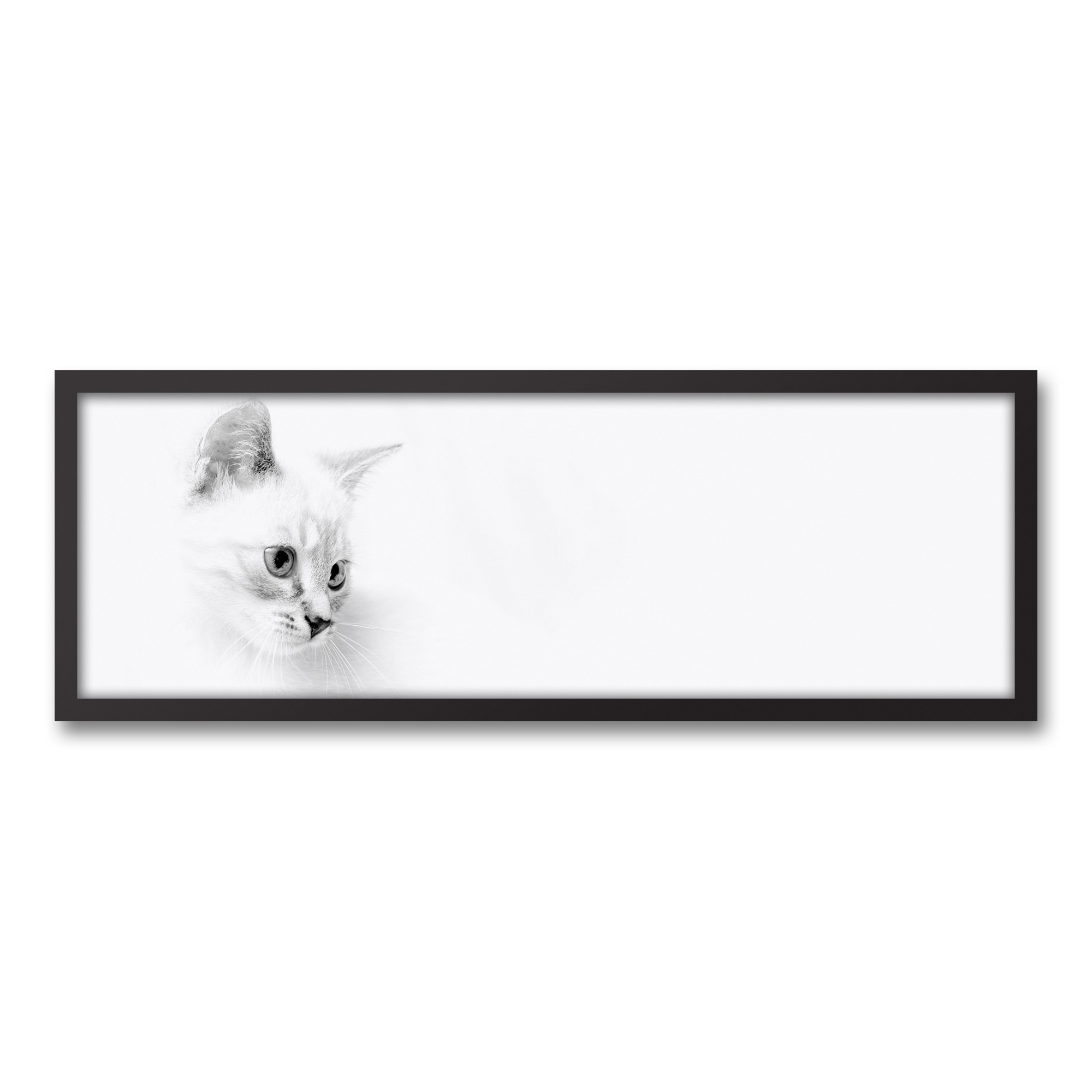Black and White Kitty Wall Art