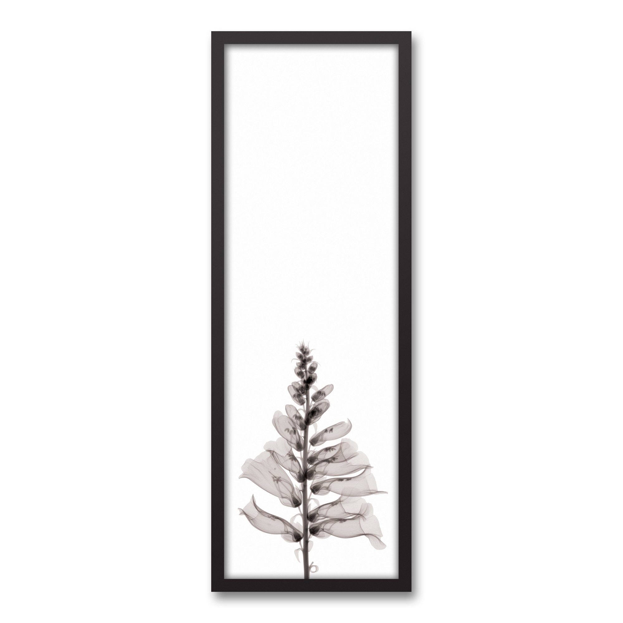 Transparent Black and White Flower Wall Art