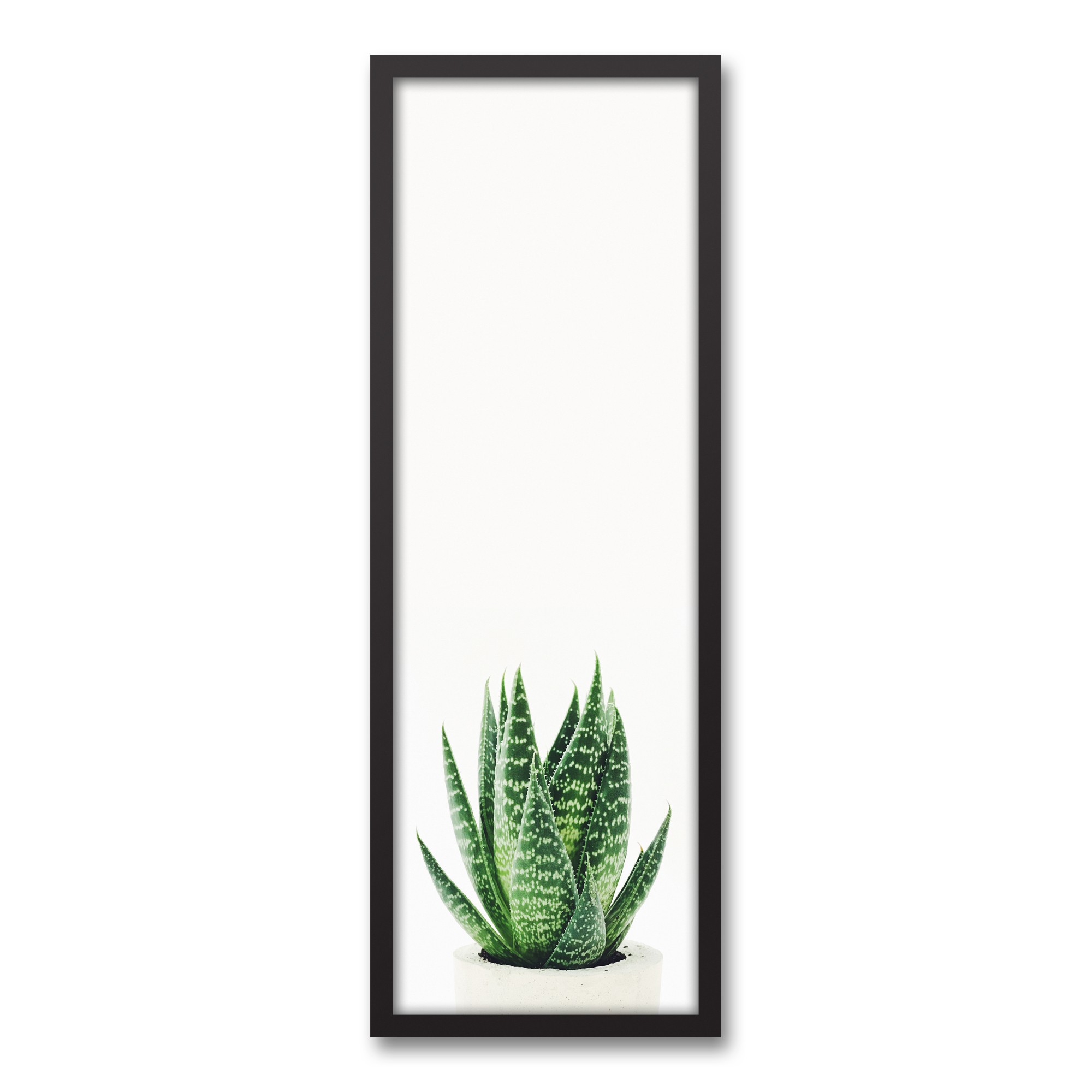 Snake Plant Wall Art
