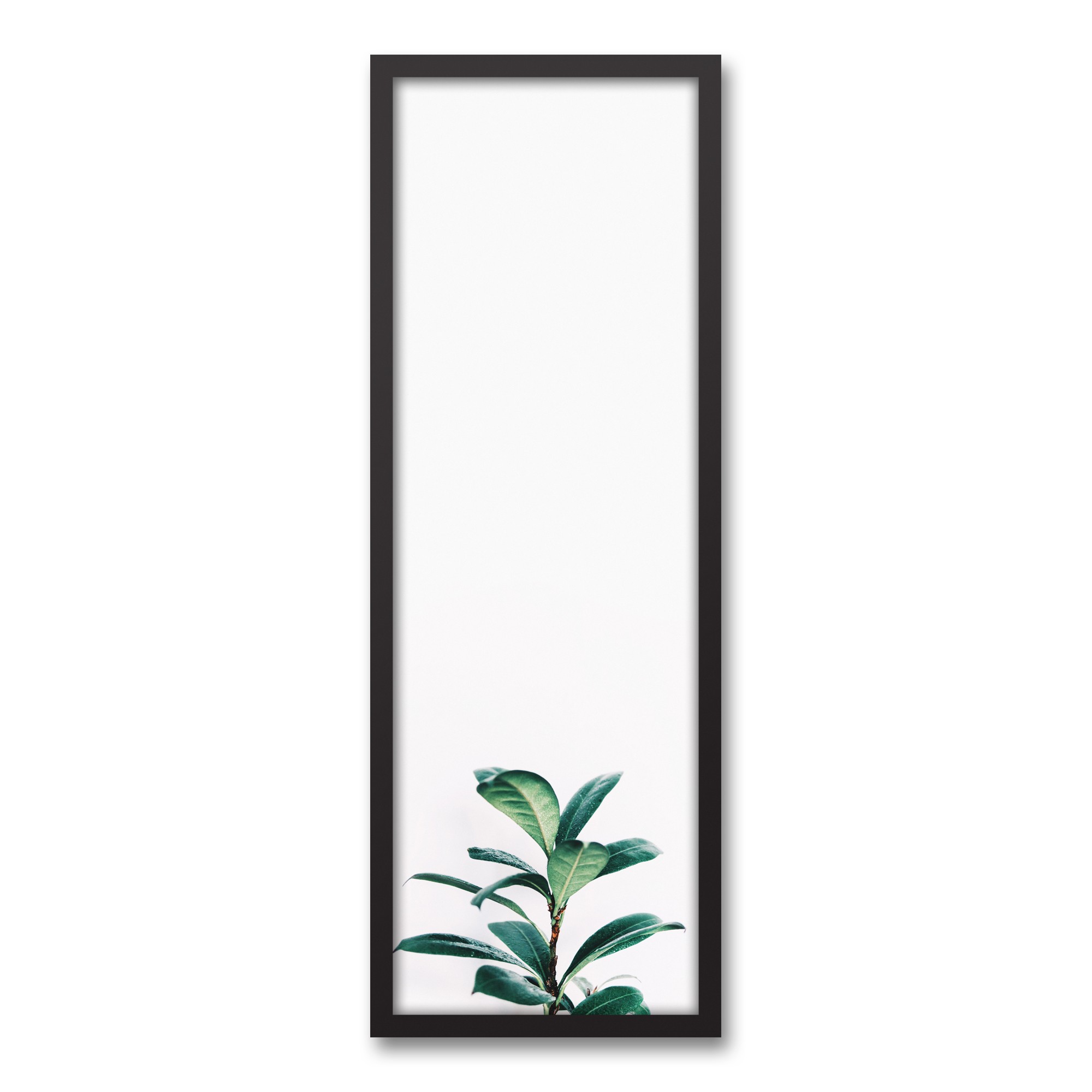 Fig Tree Wall Art