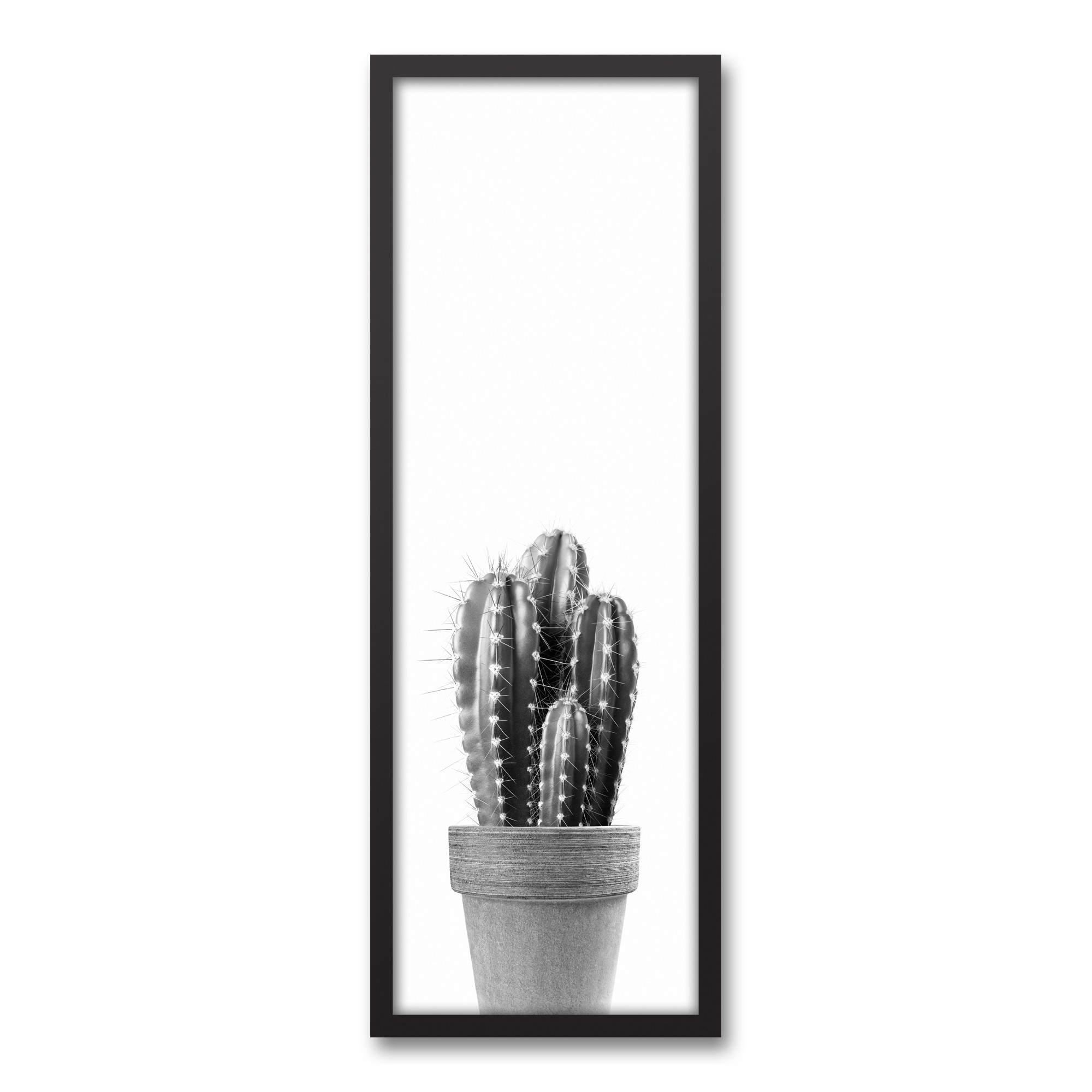 Black and White Cactus Wall Art