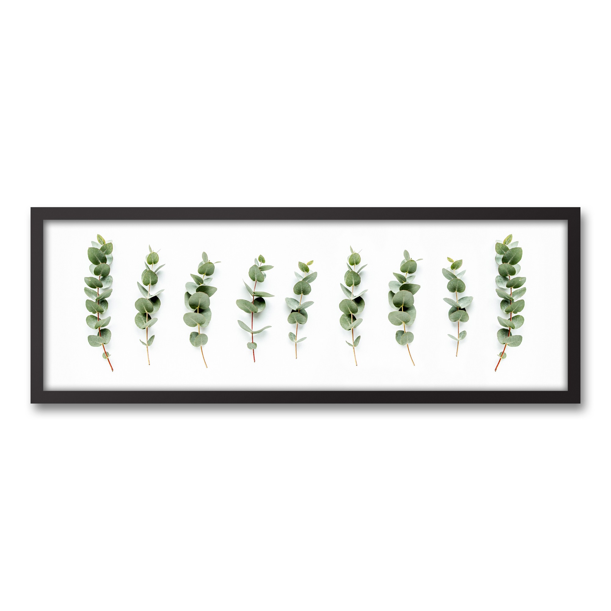 Eucalyptus Branches Wall Art