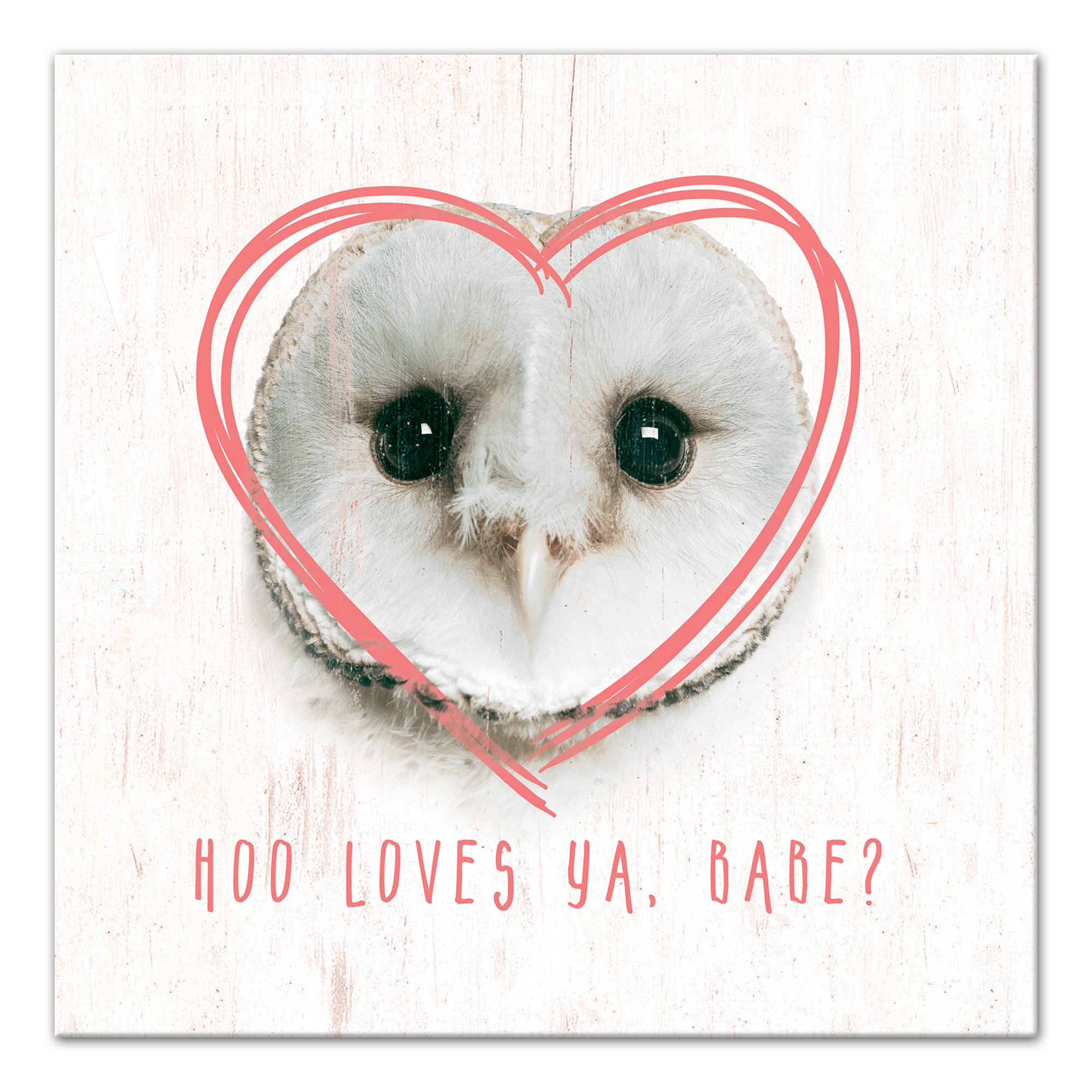 Owl Love Canvas Wall Art