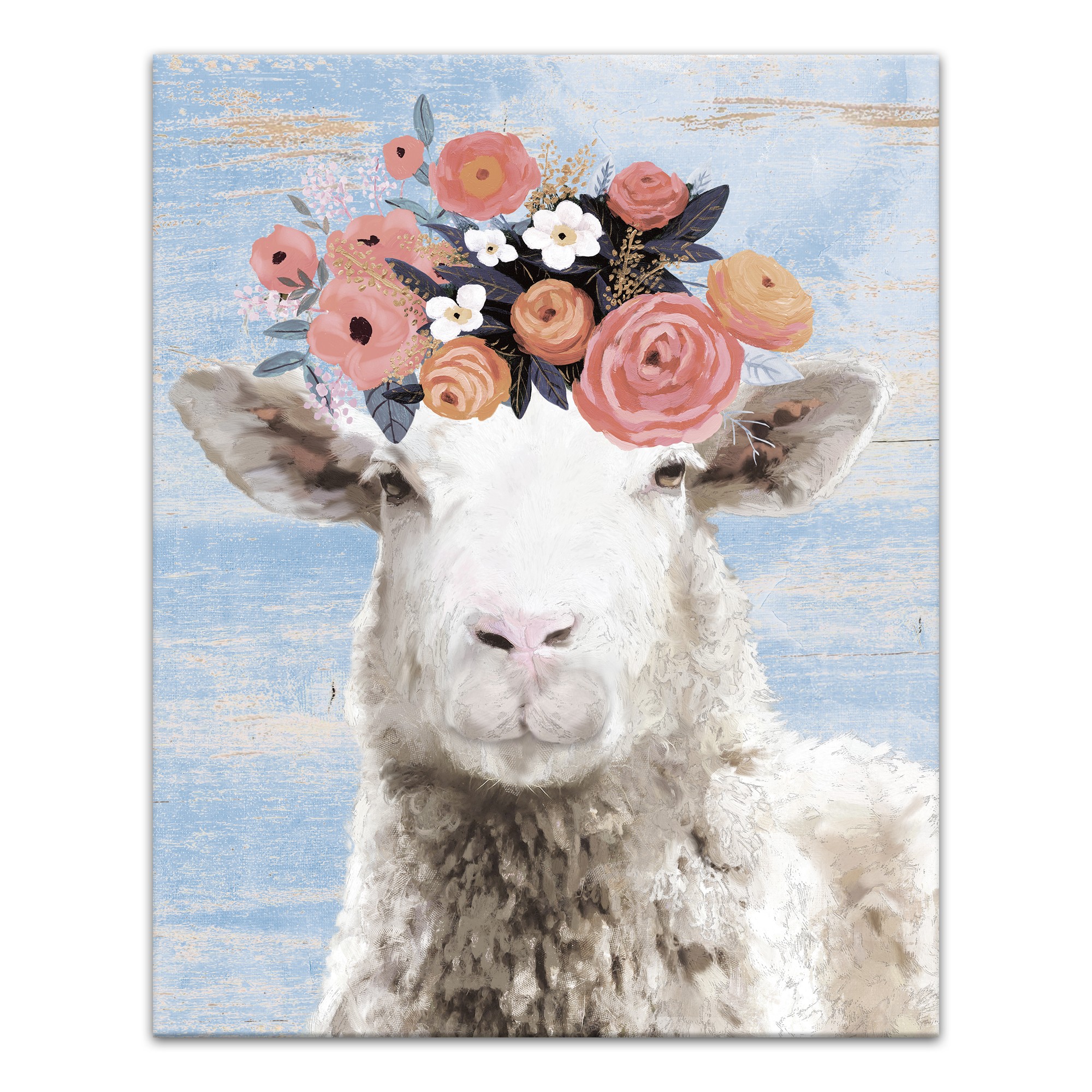 Boho Sheep 16x20 Canvas Wall Art