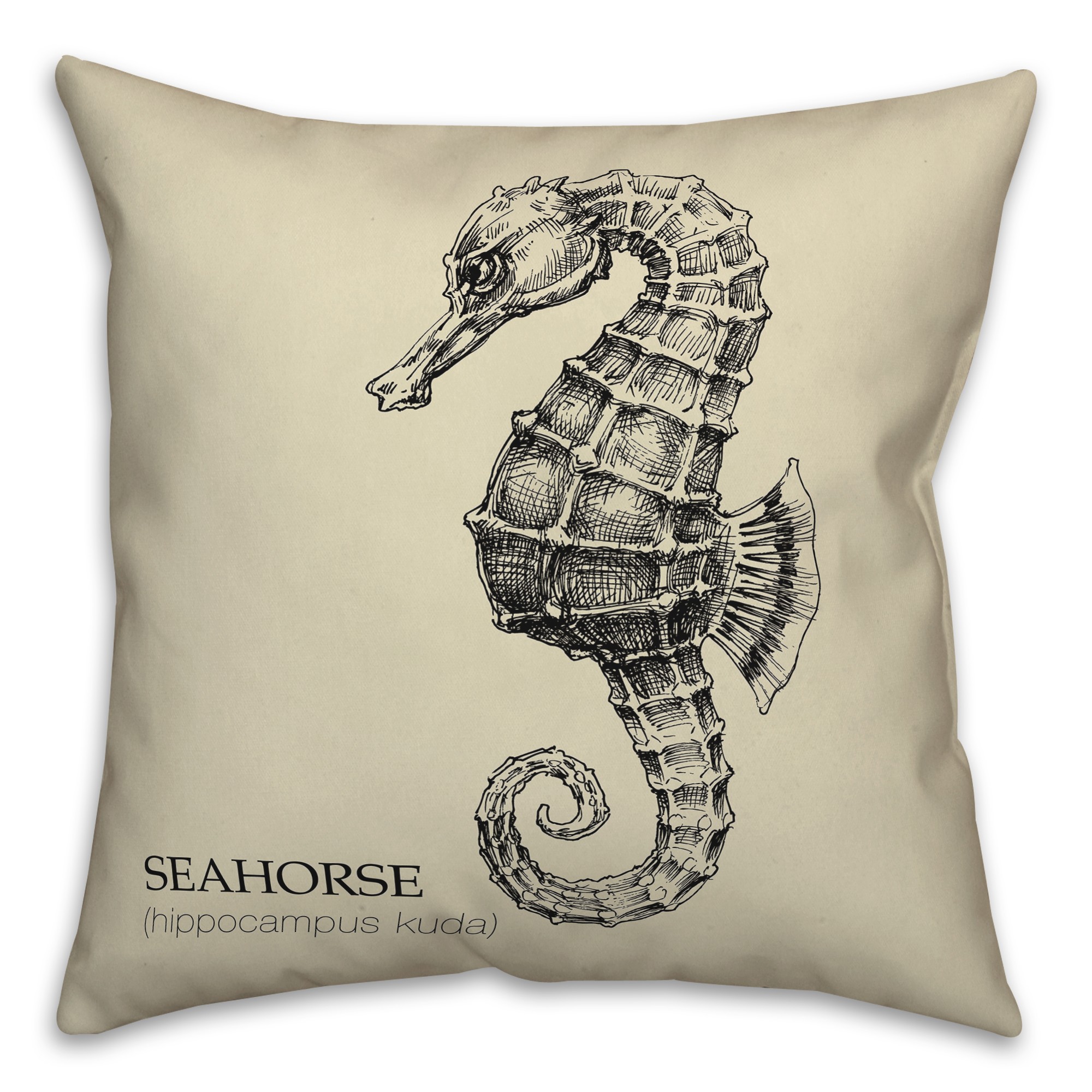 Seahorse Science Pillow